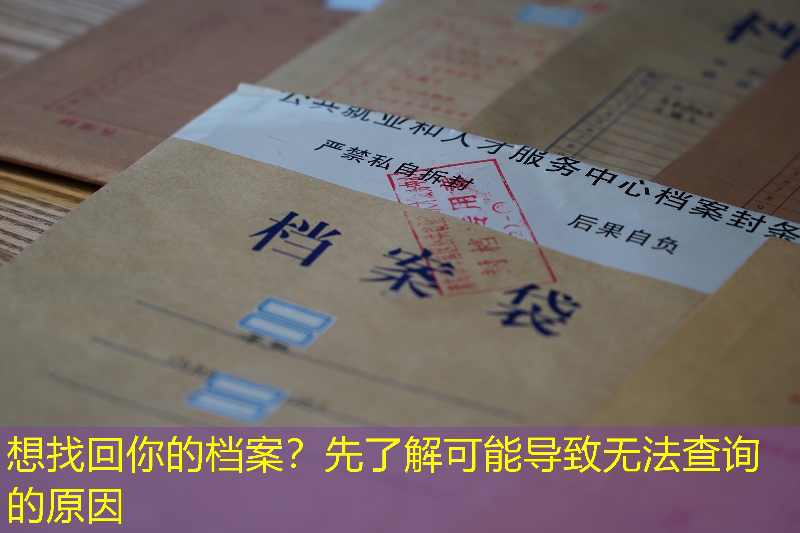 档案查询