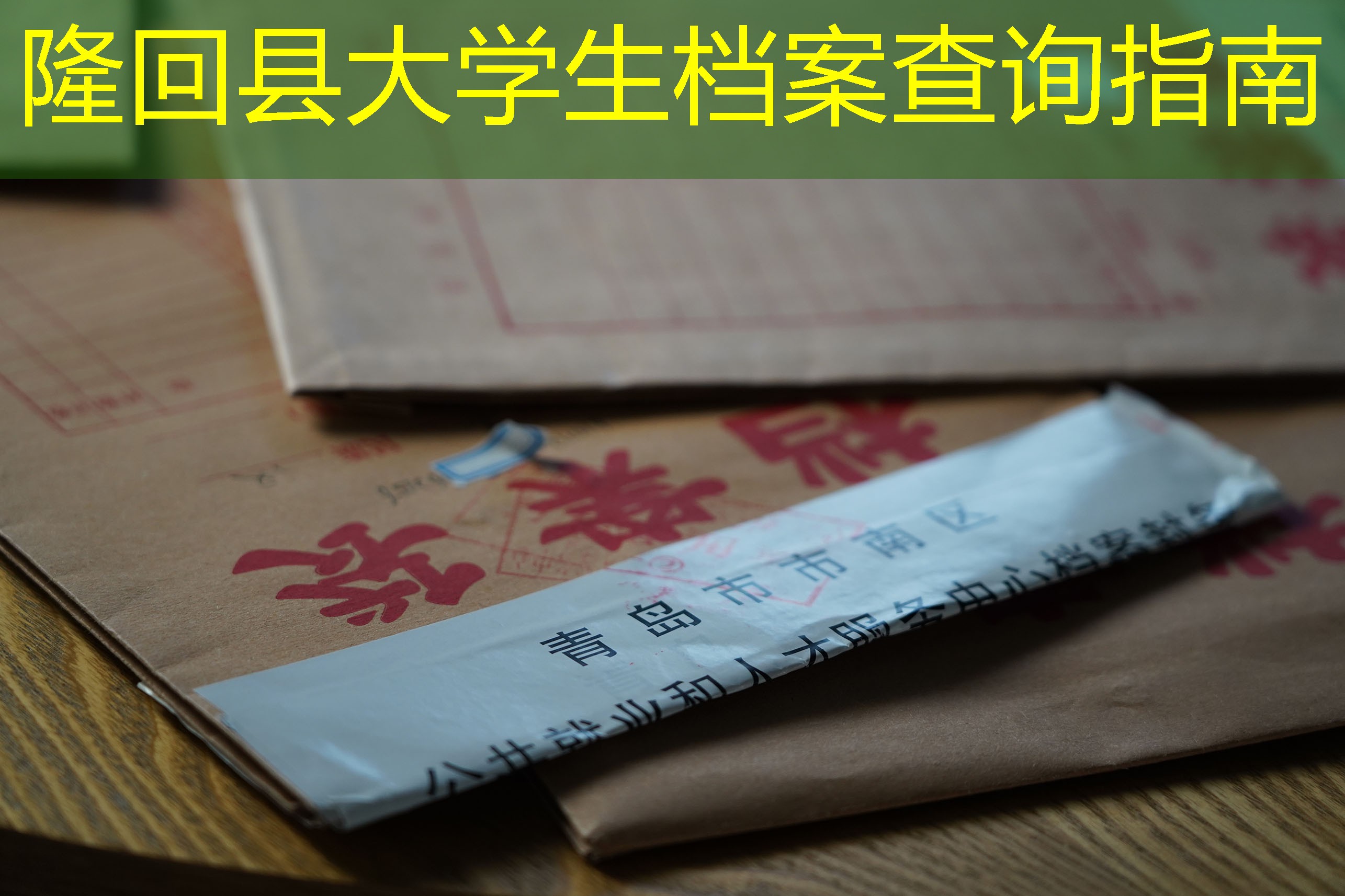 档案查询