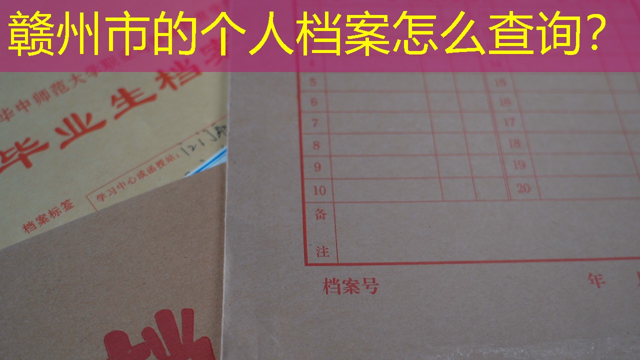 档案查询