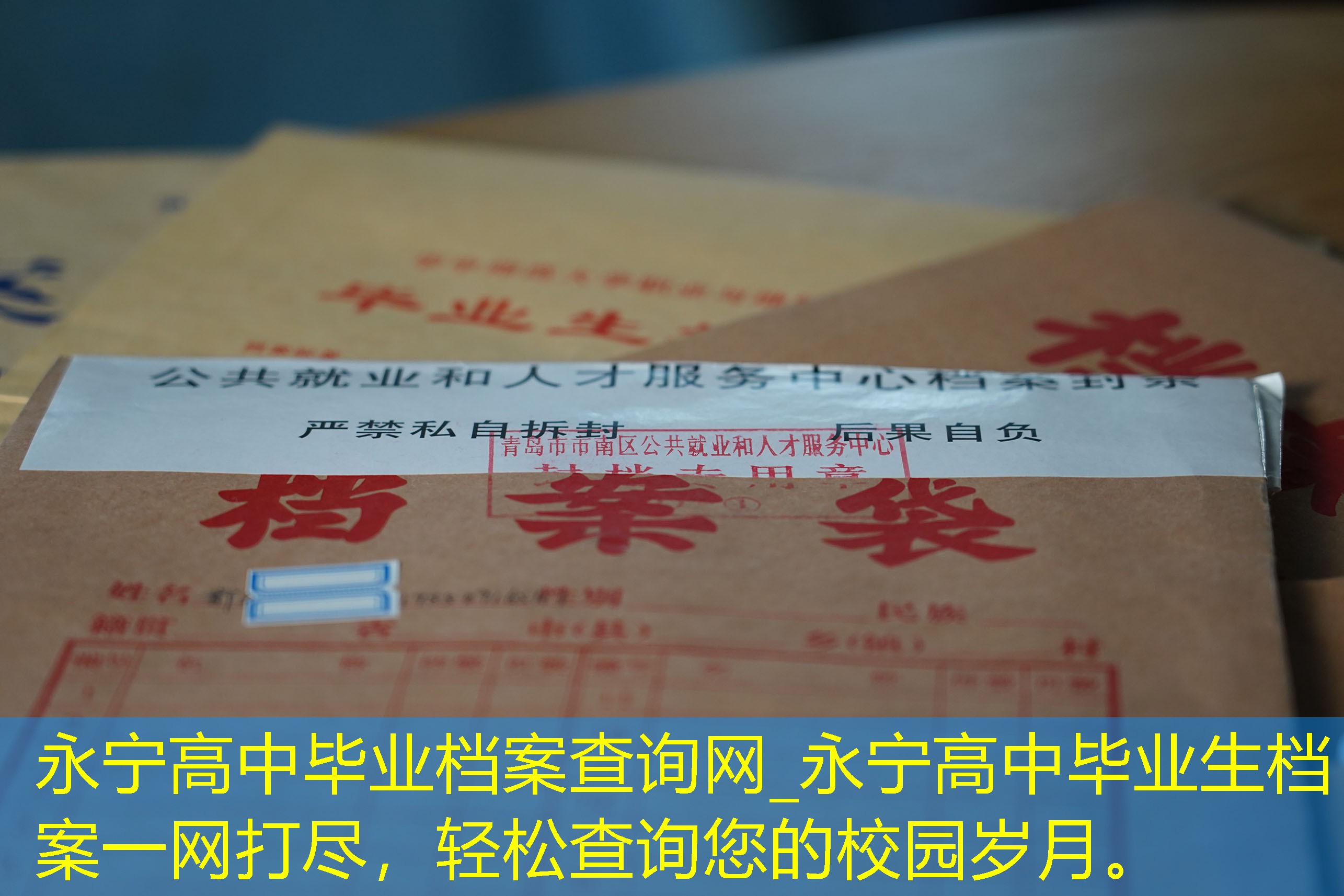 档案查询