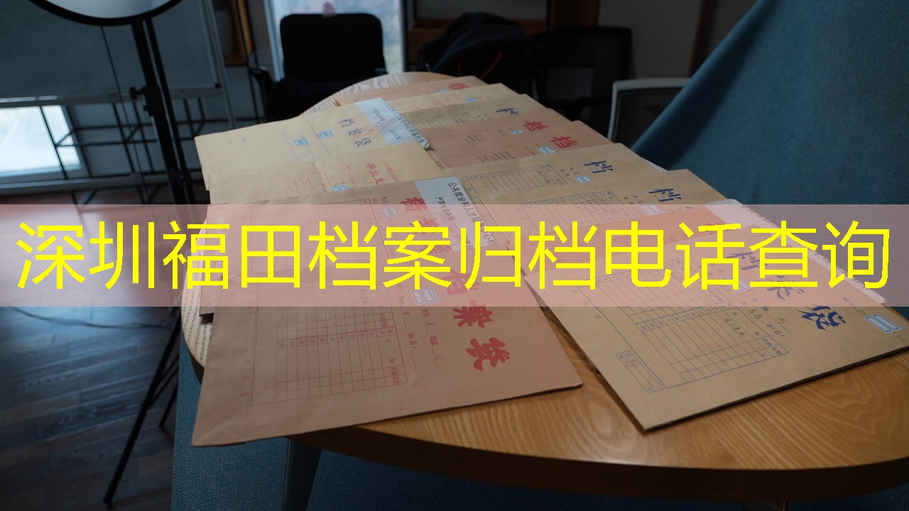 档案查询