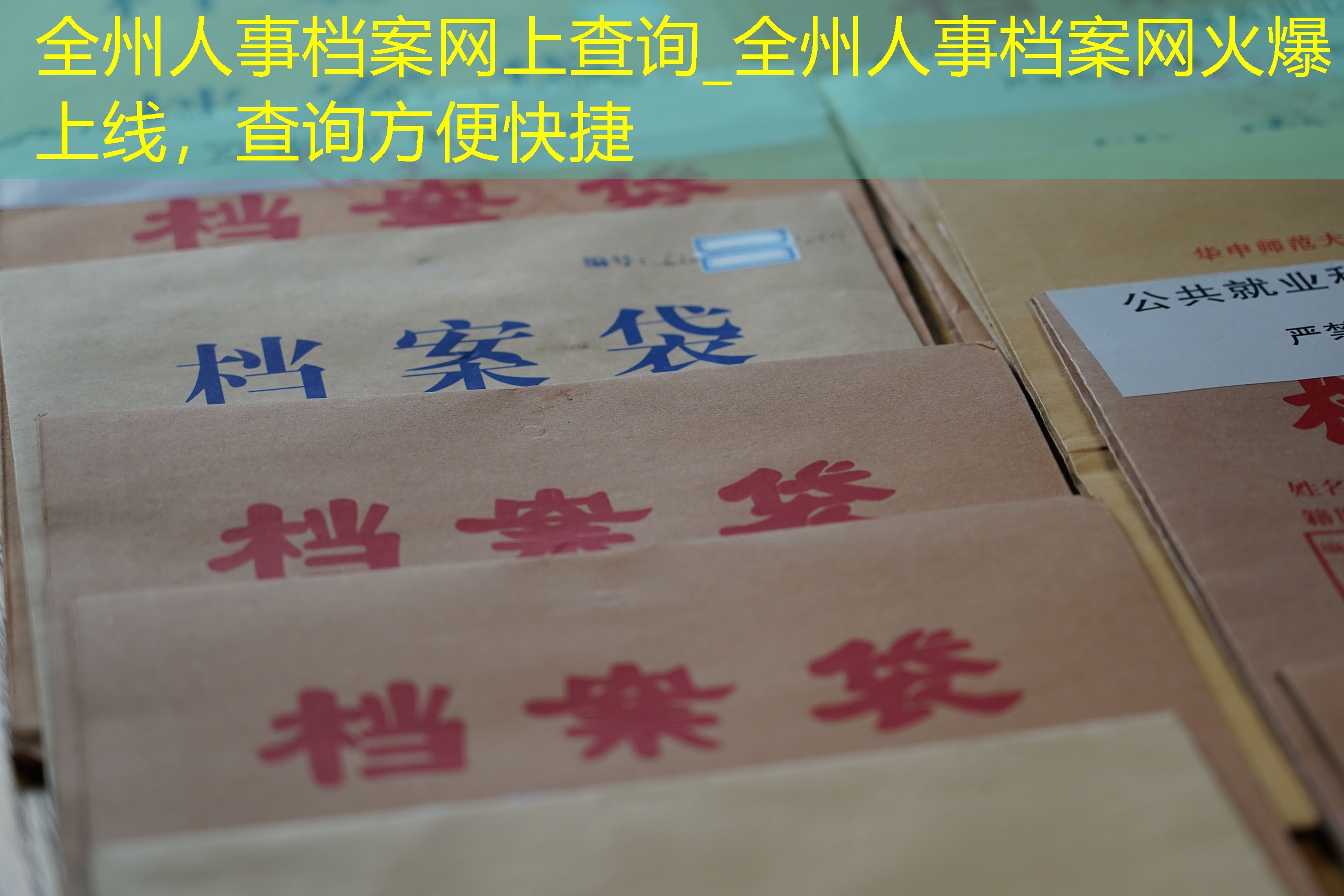 档案查询