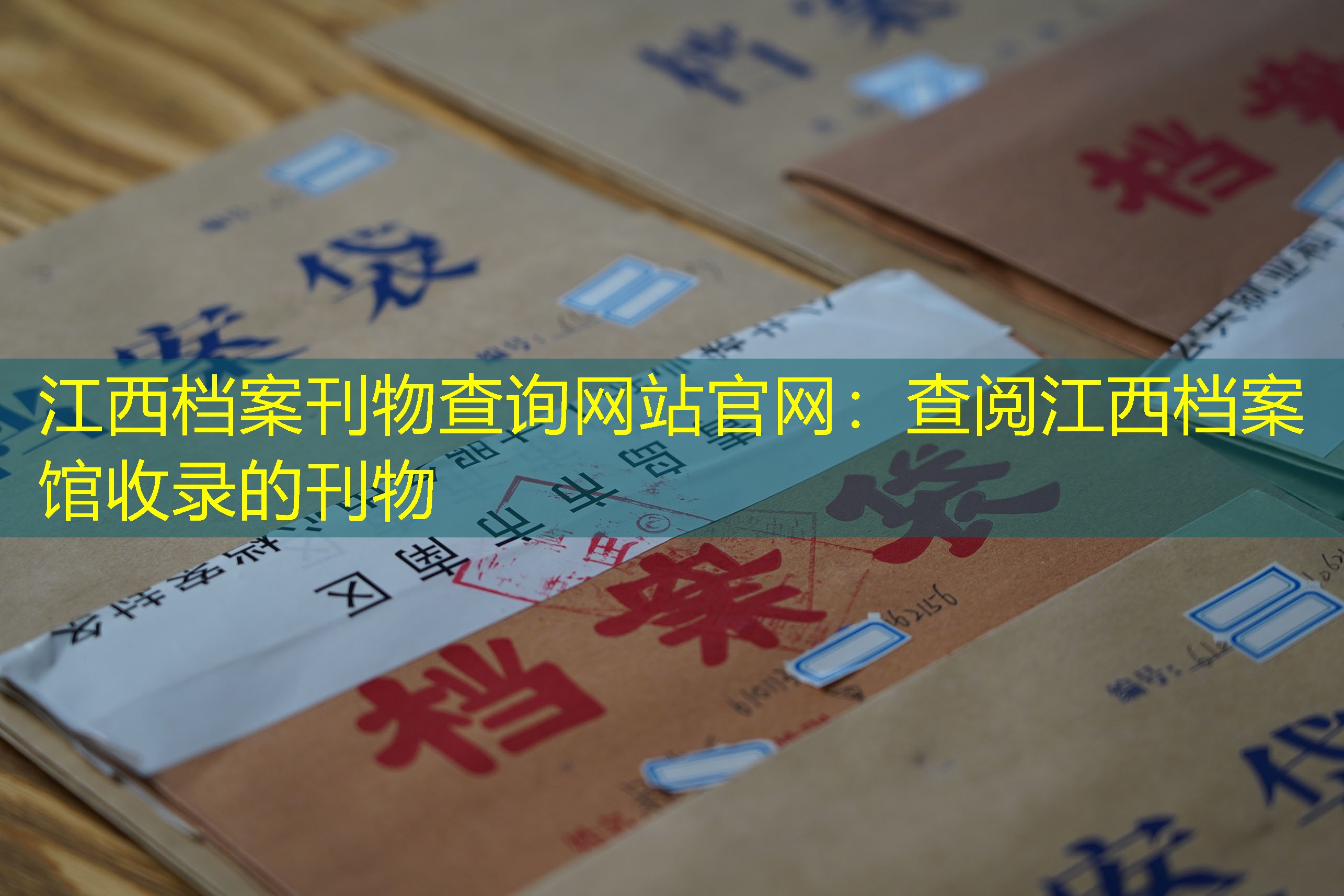 档案查询
