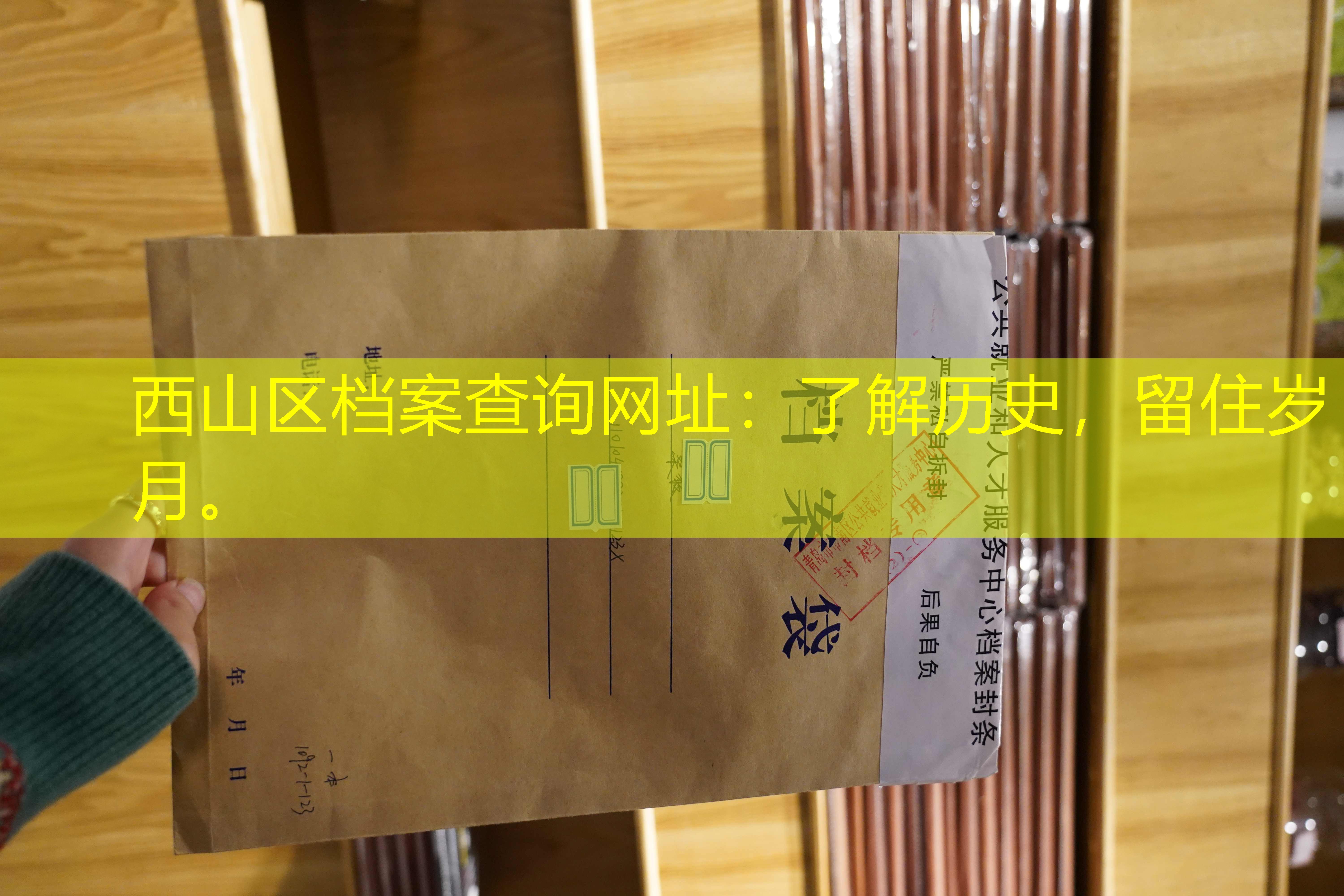 档案查询