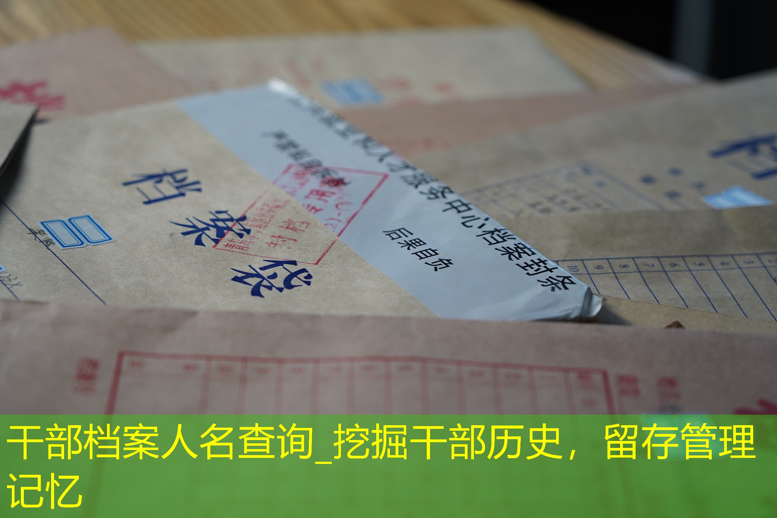 档案查询