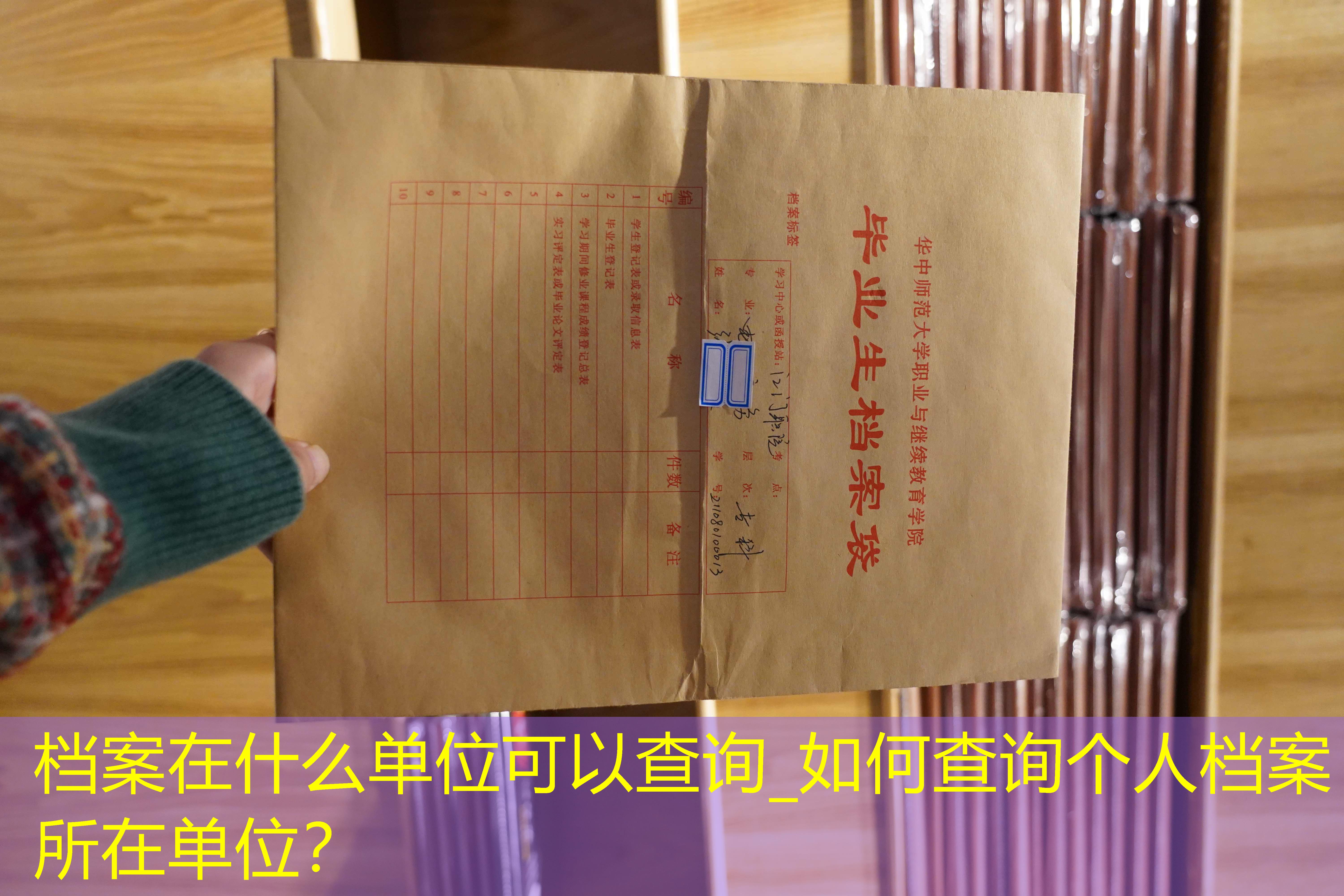档案查询