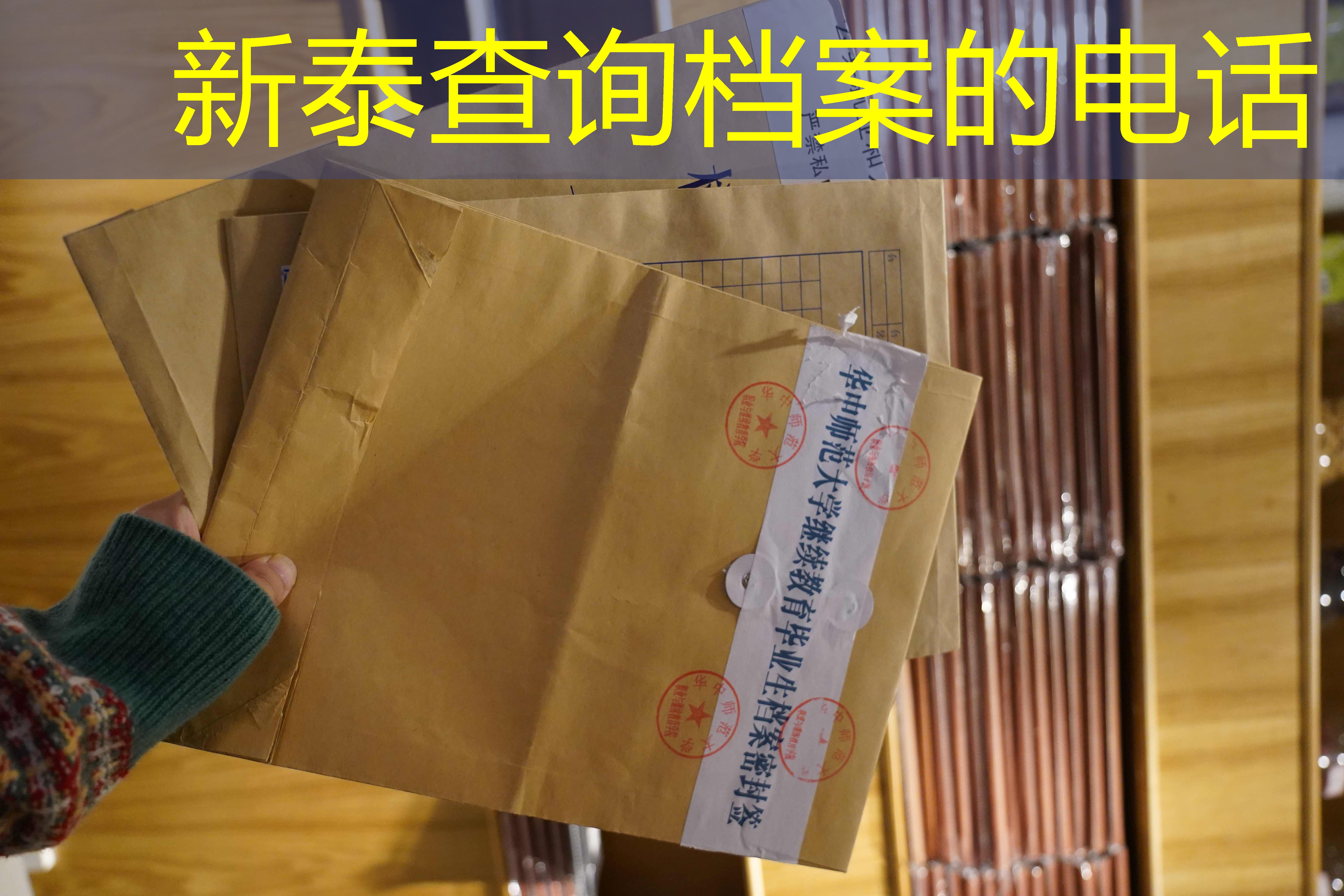 档案查询