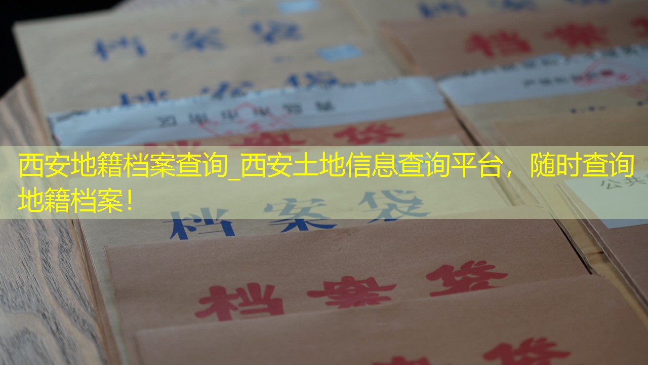 档案查询