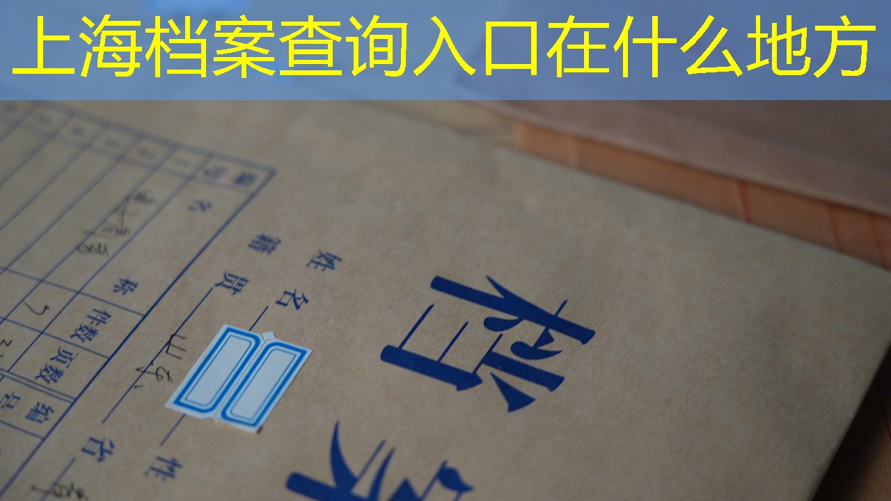 档案查询