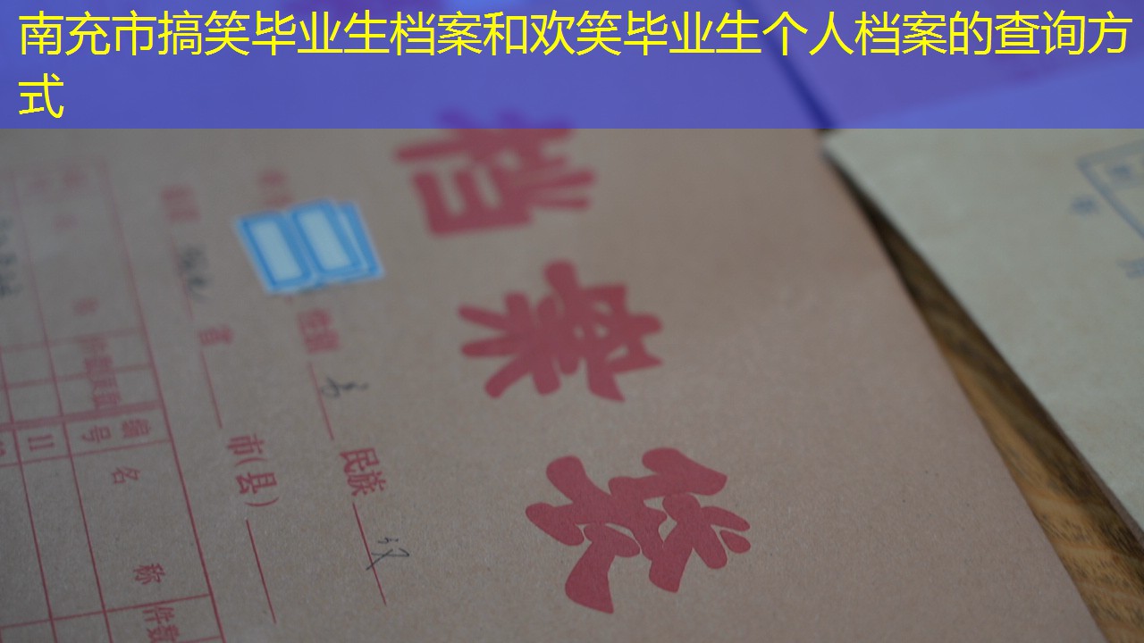 档案查询