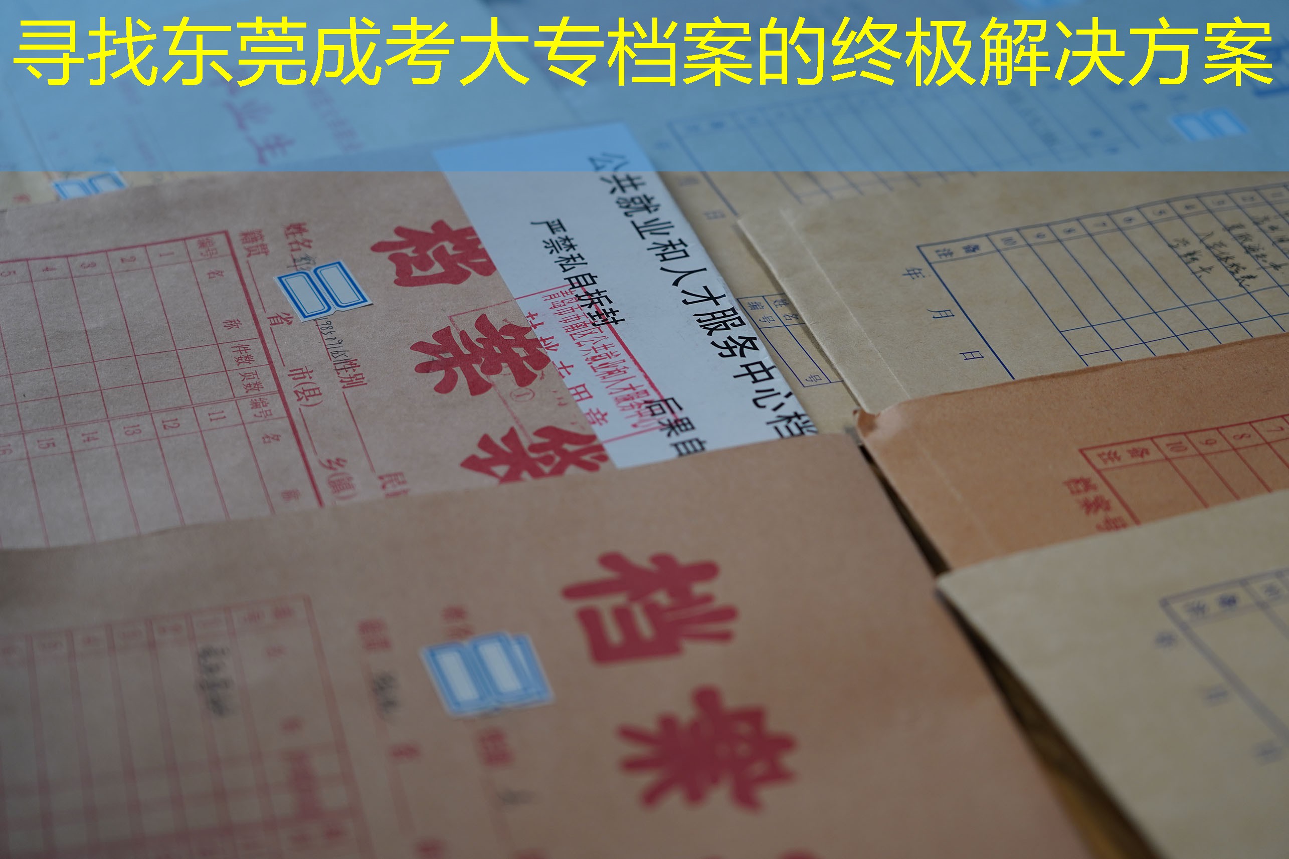 档案查询
