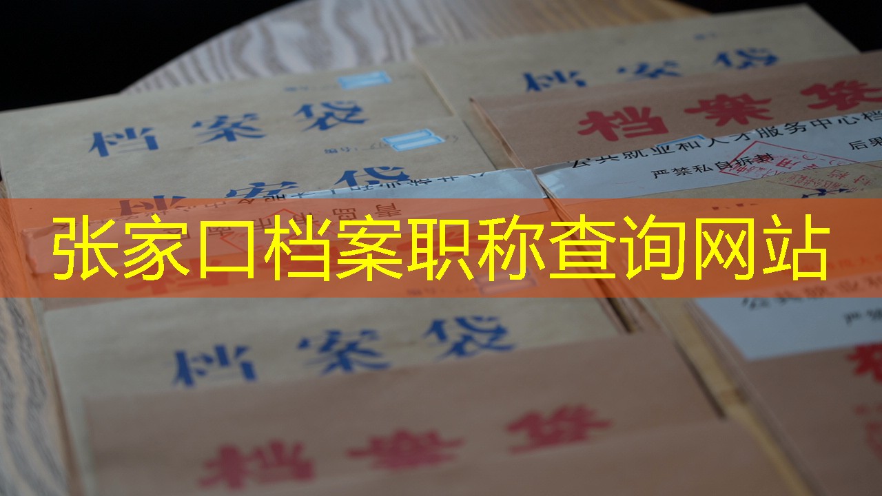 档案查询