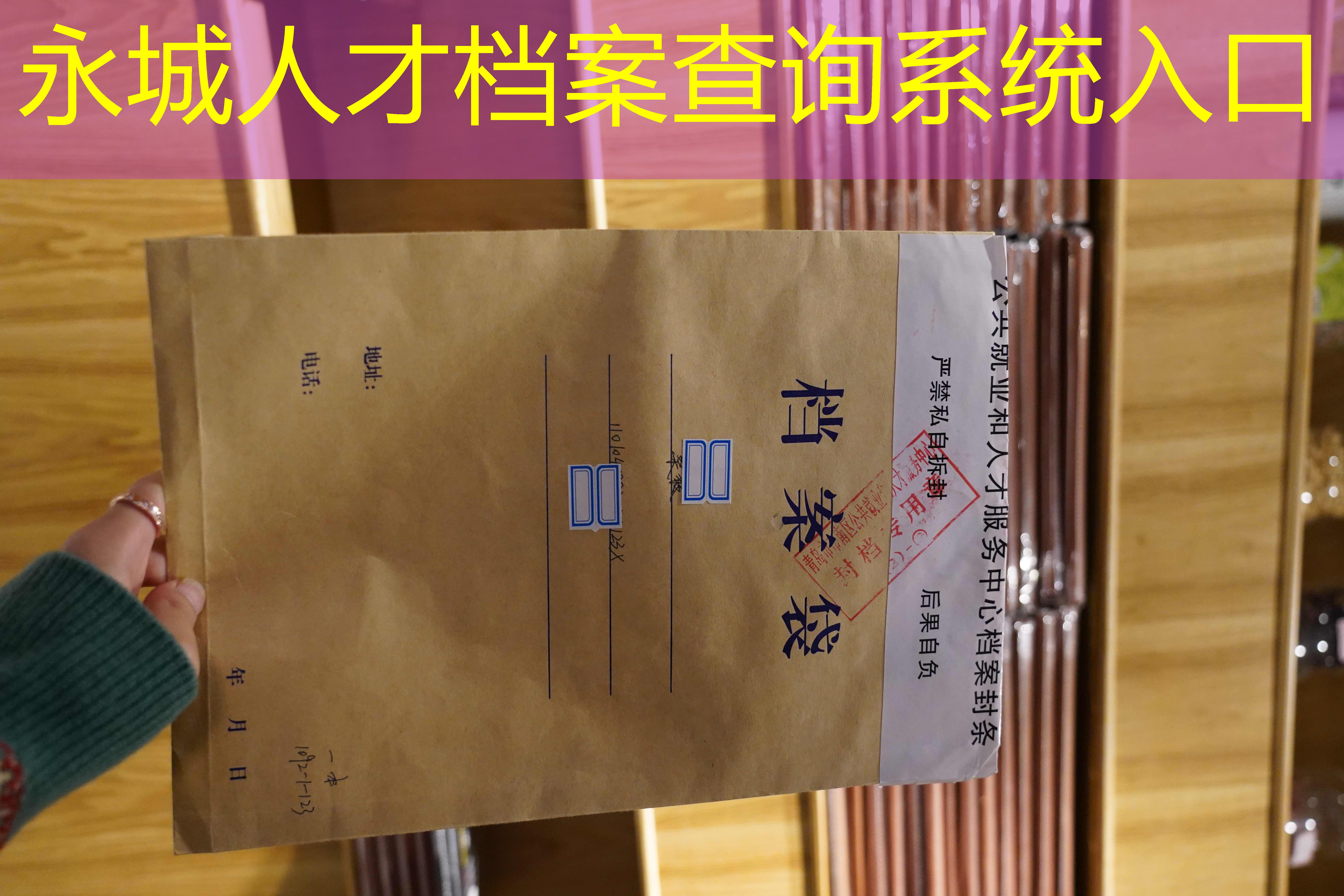 档案查询