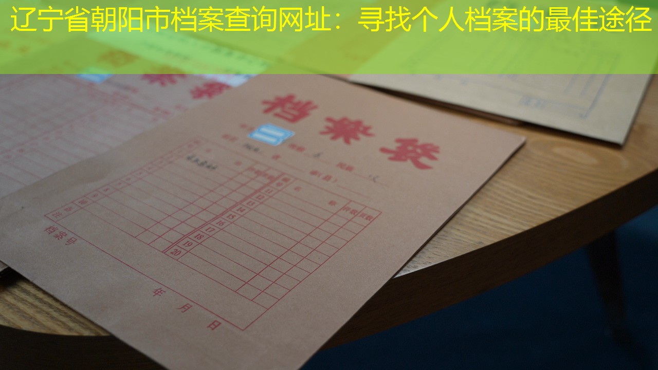 档案查询