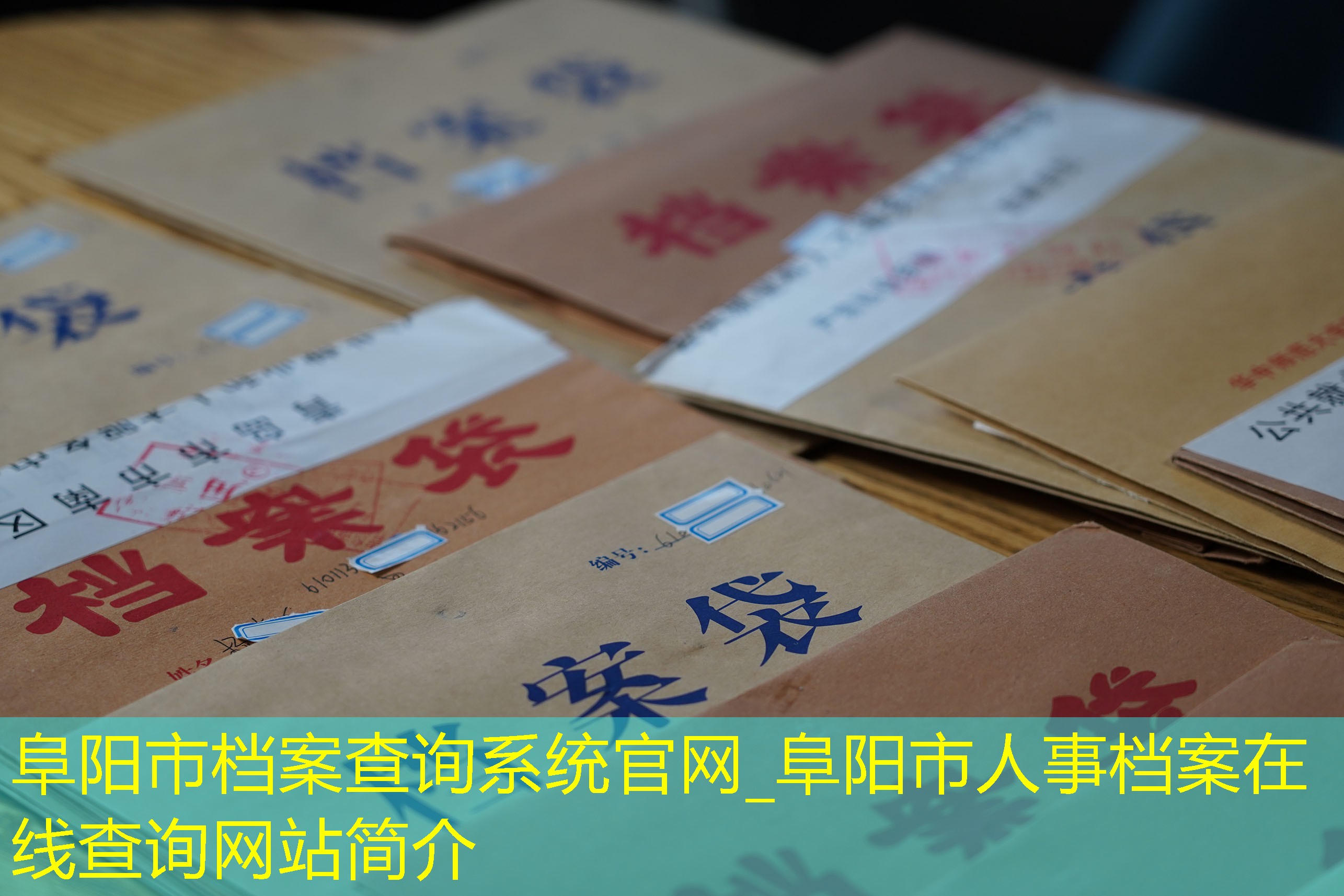 档案查询