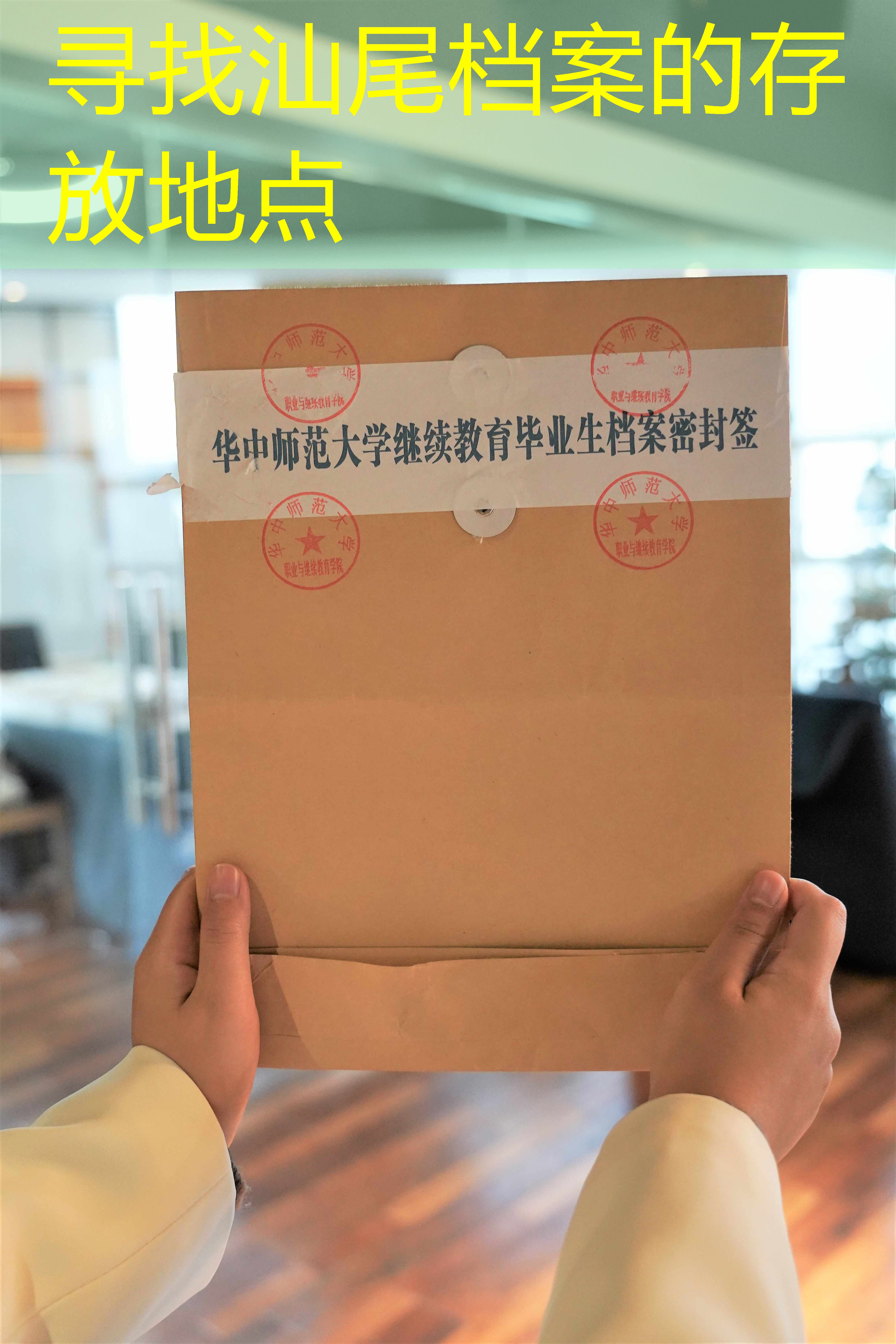 档案查询