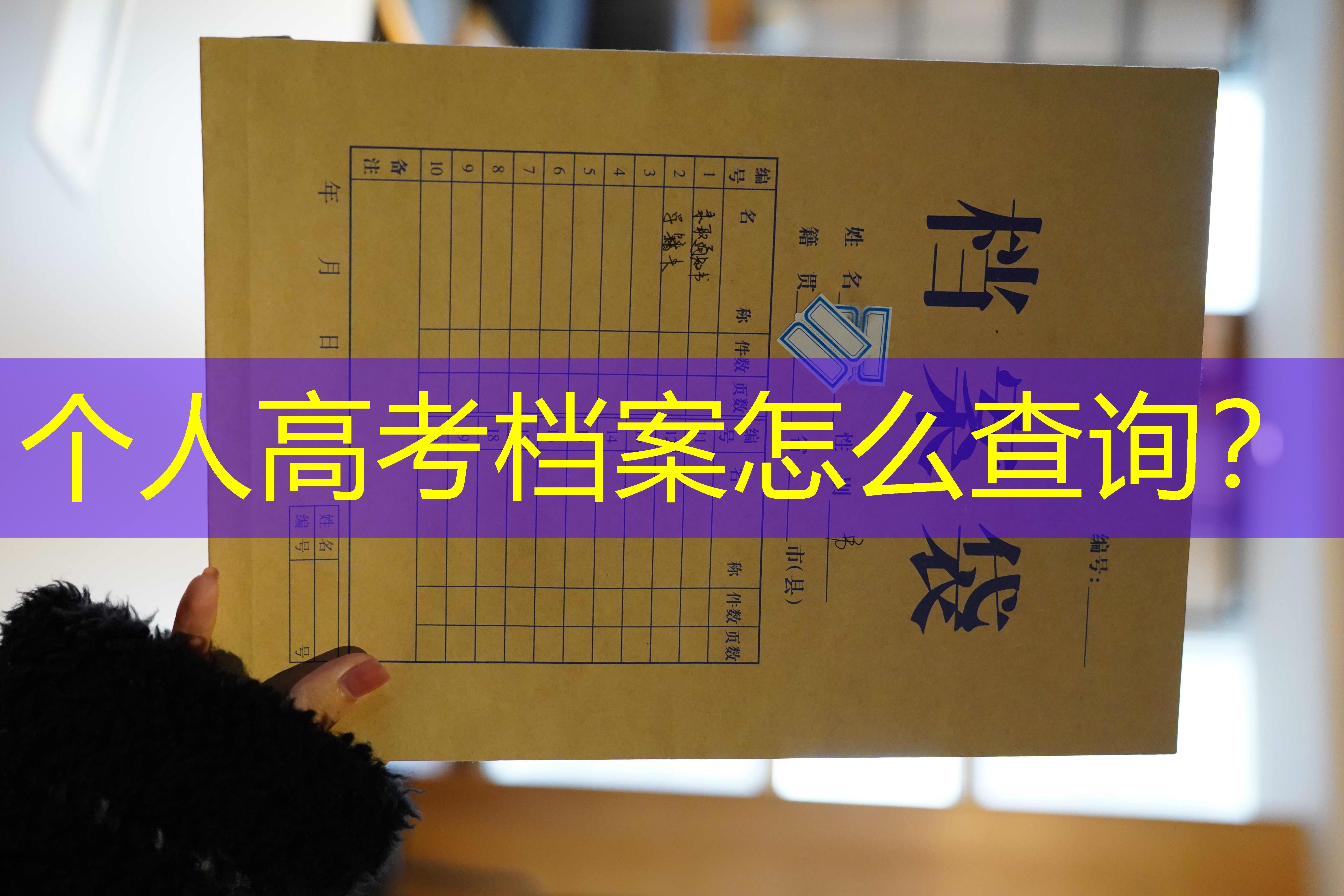 档案查询