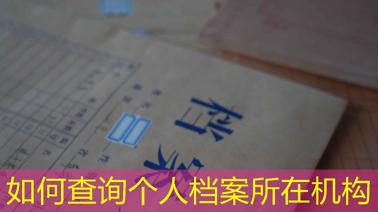档案查询