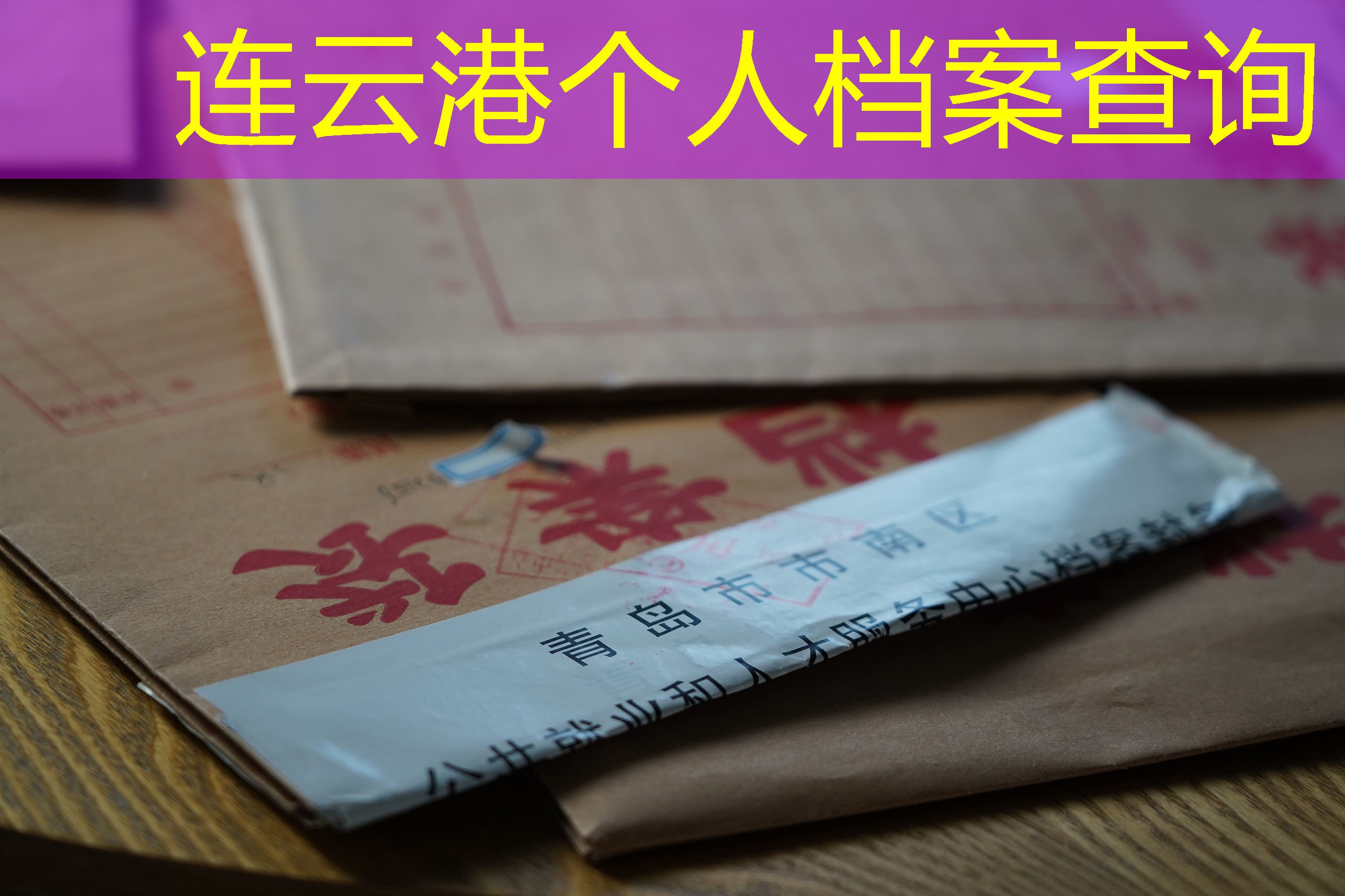 档案查询