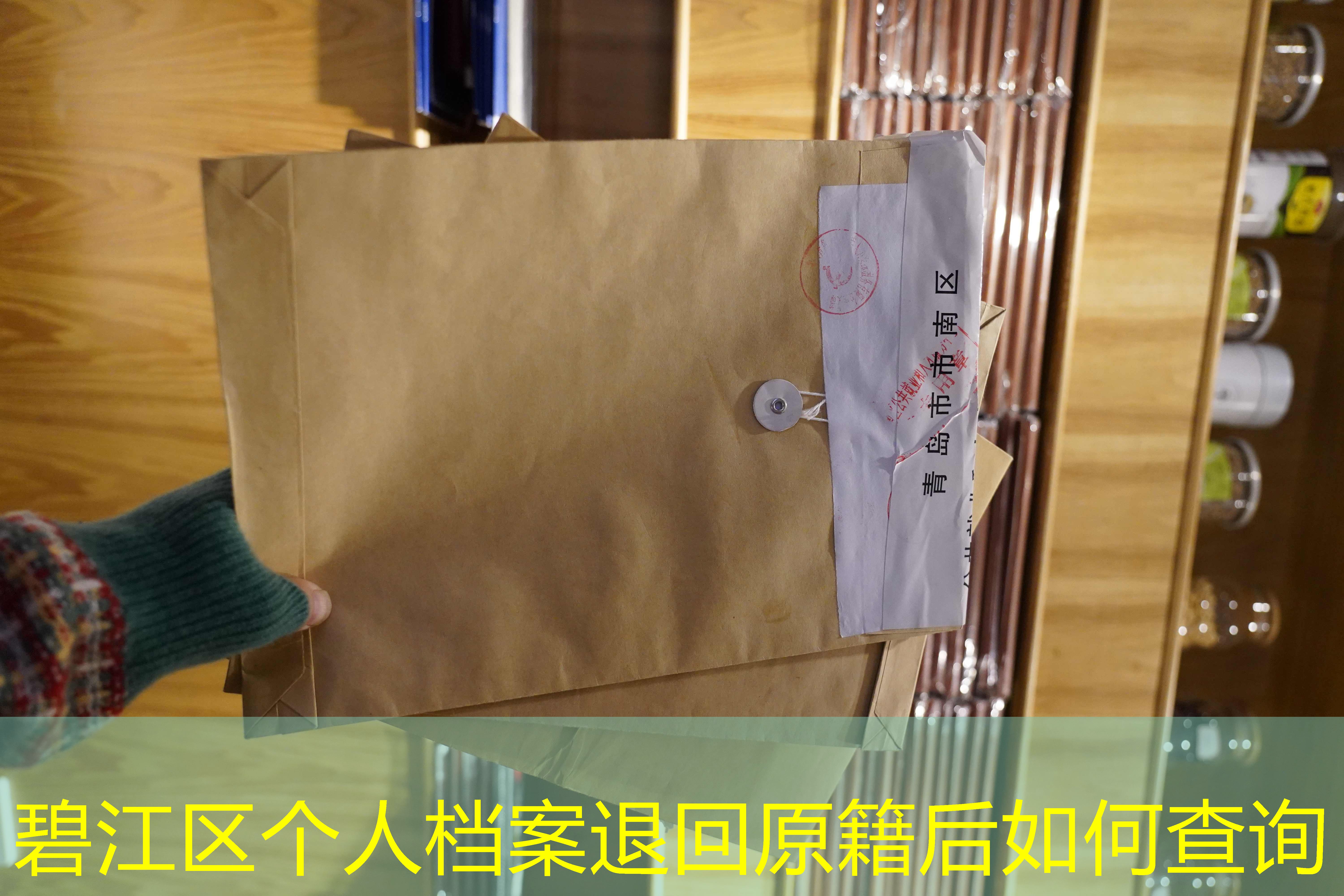 档案查询