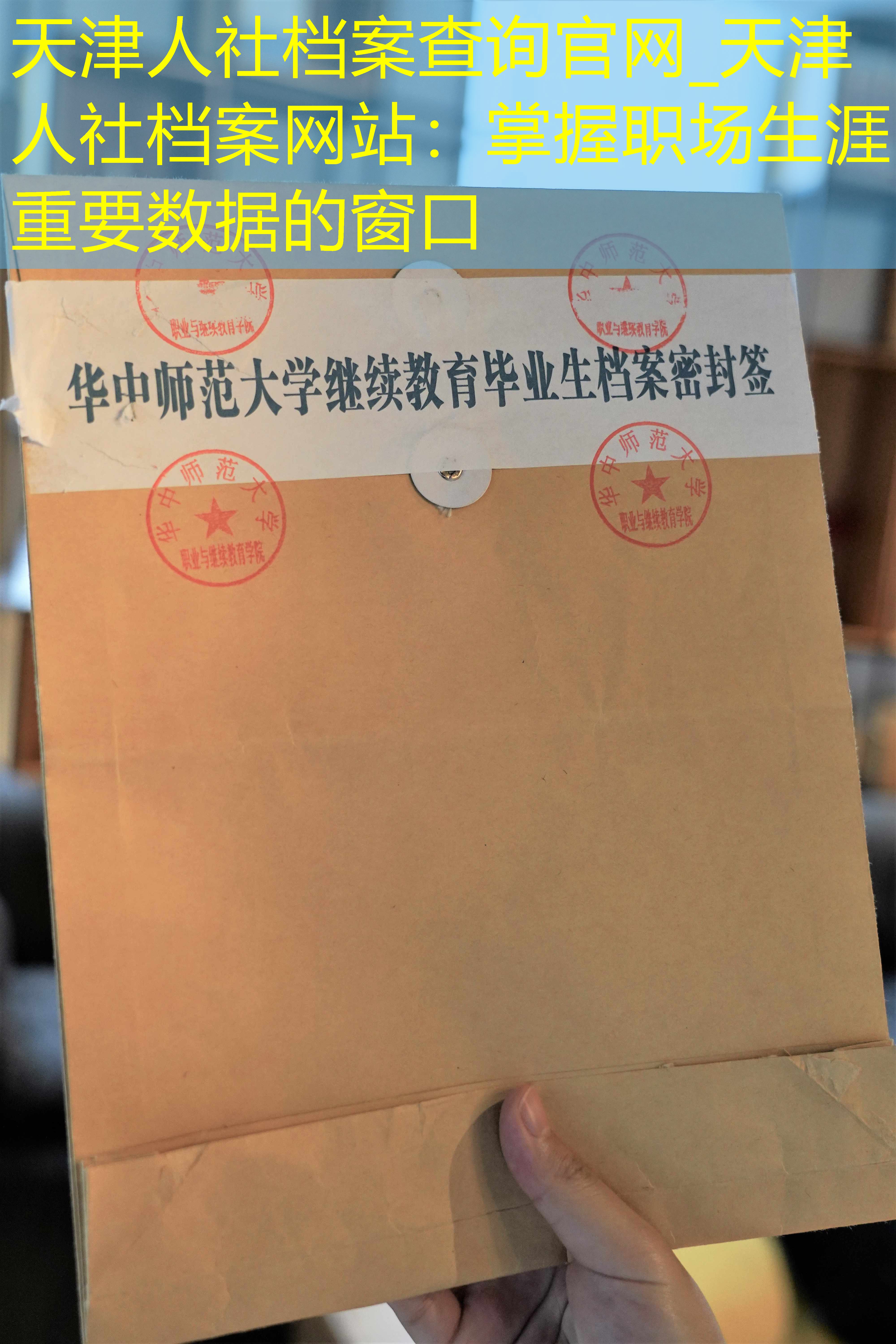 档案查询
