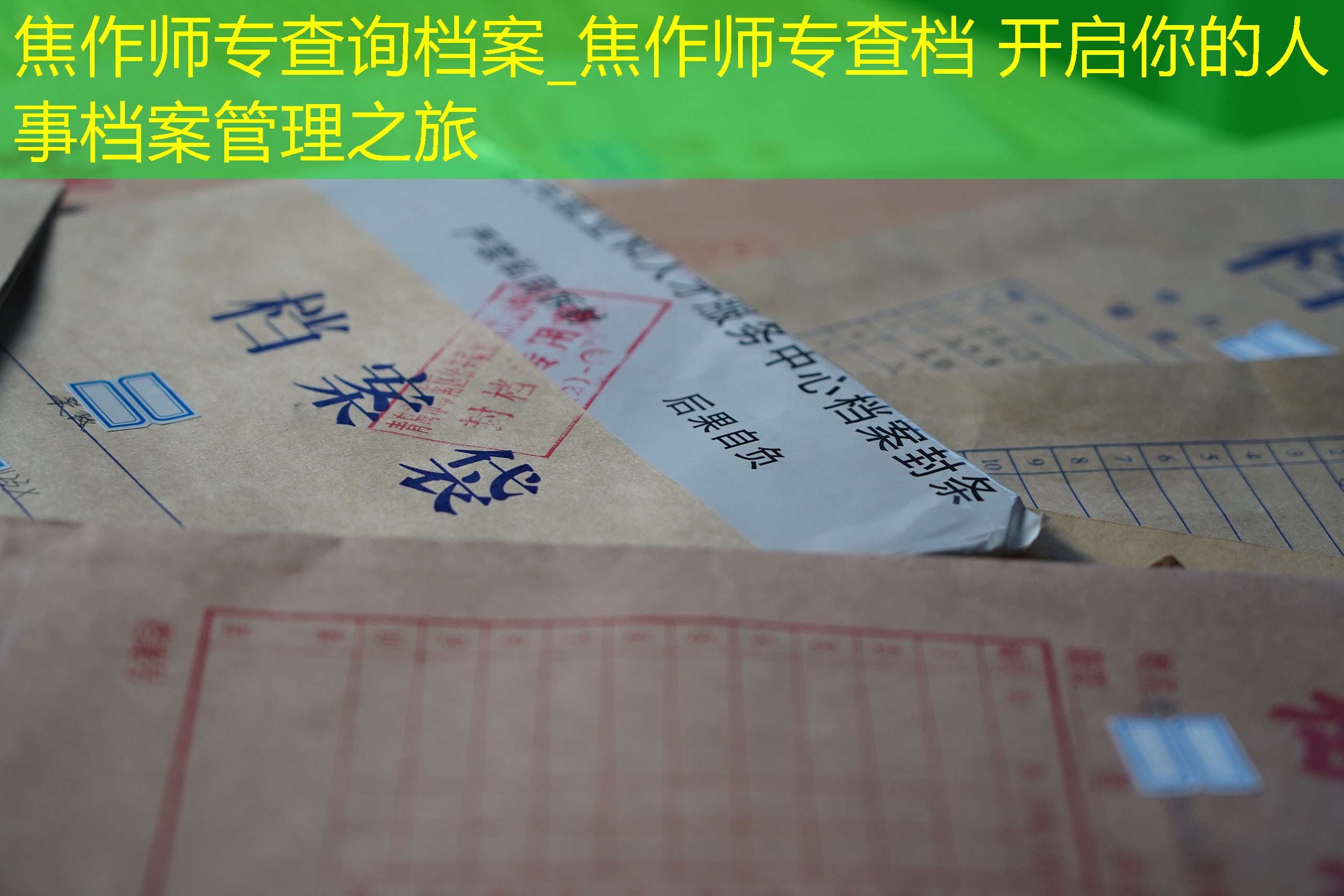 档案查询