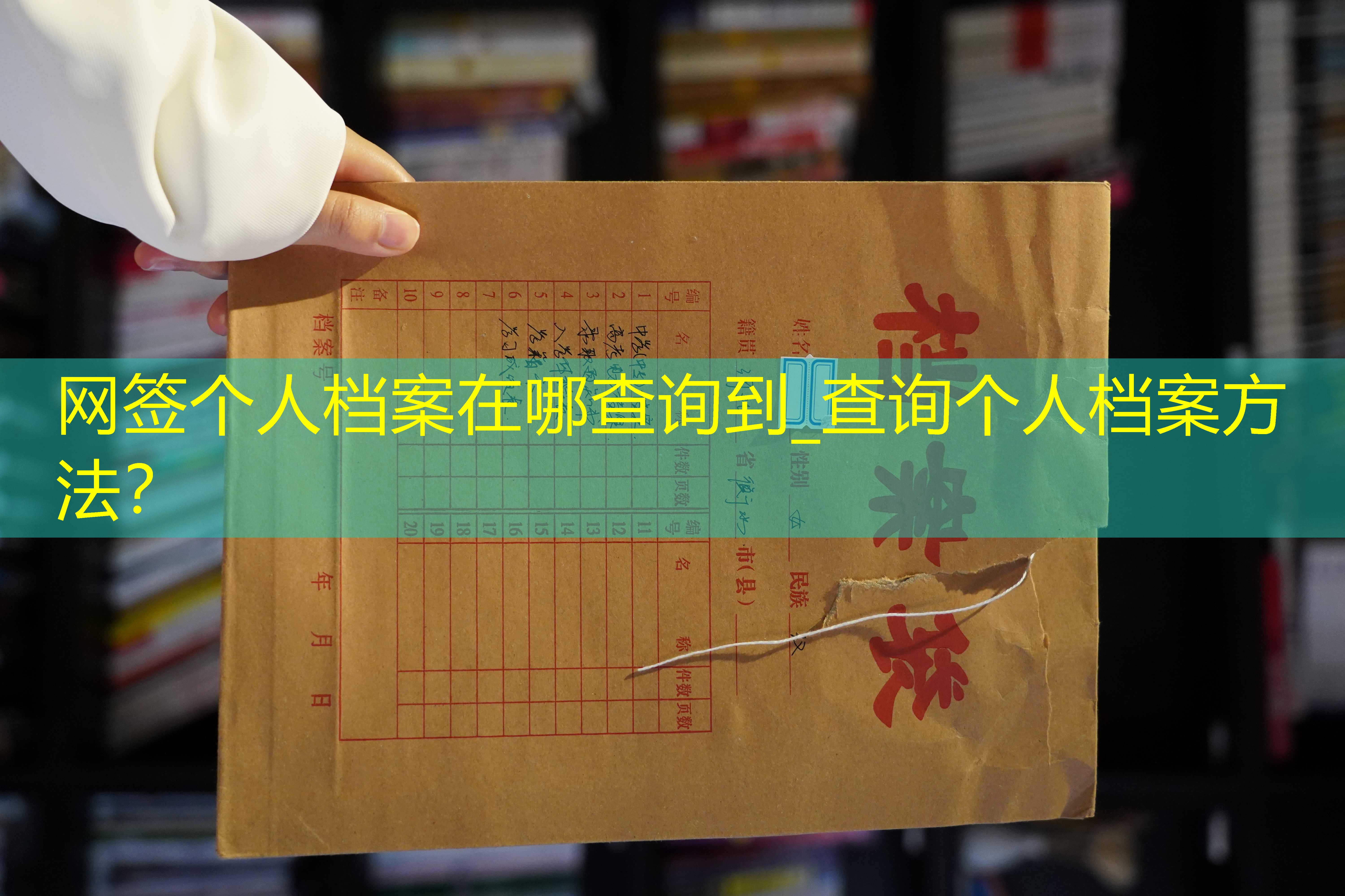 档案查询