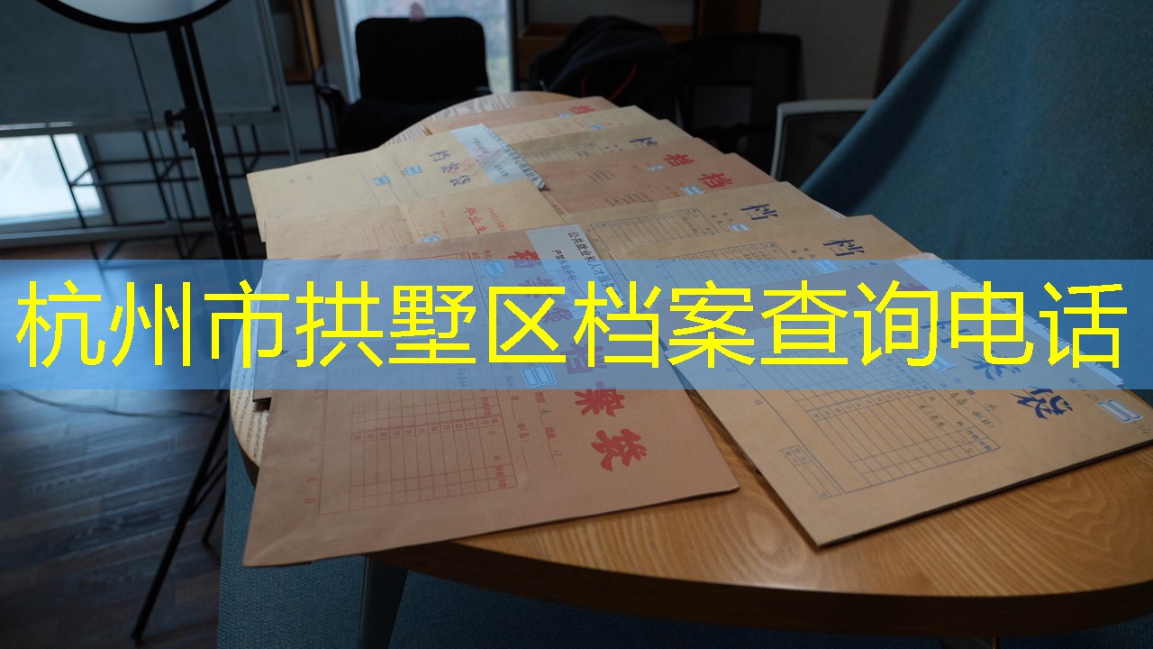 档案查询