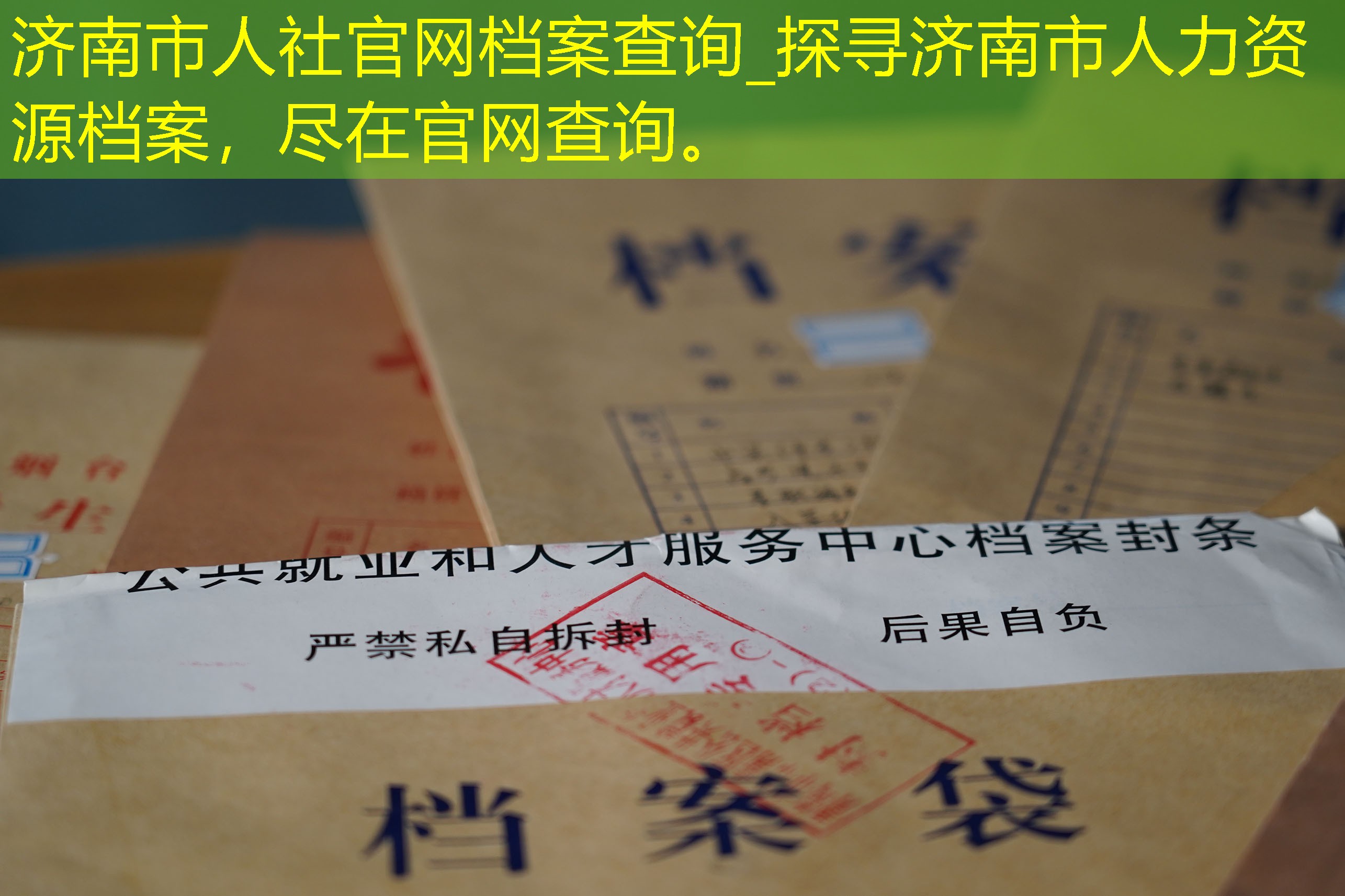档案查询