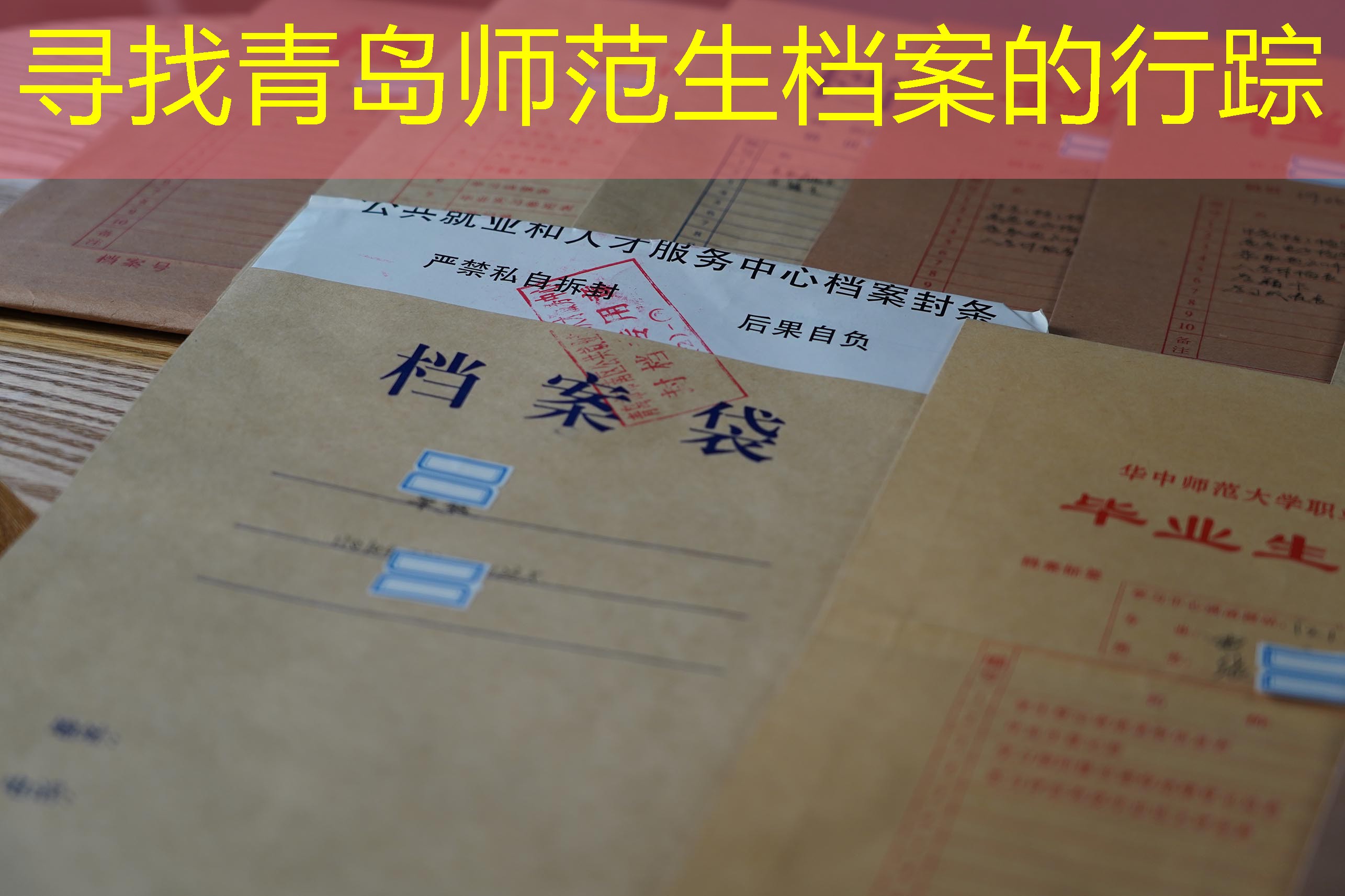 档案查询