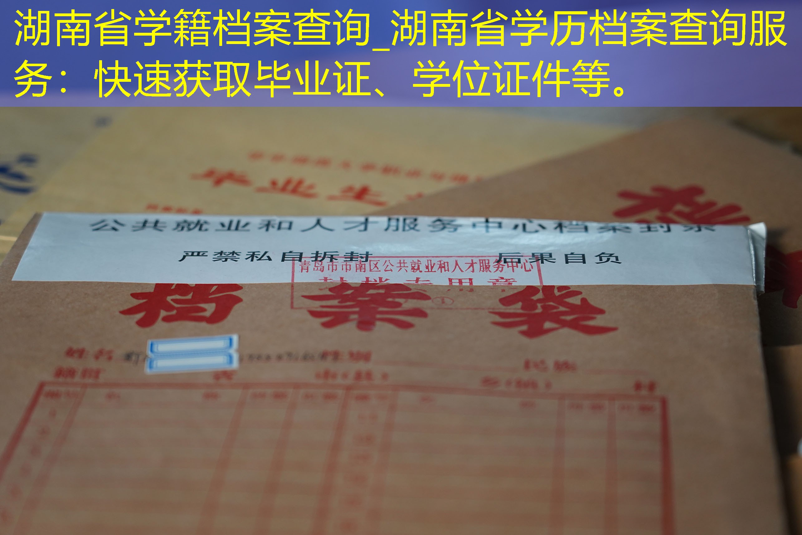 档案查询