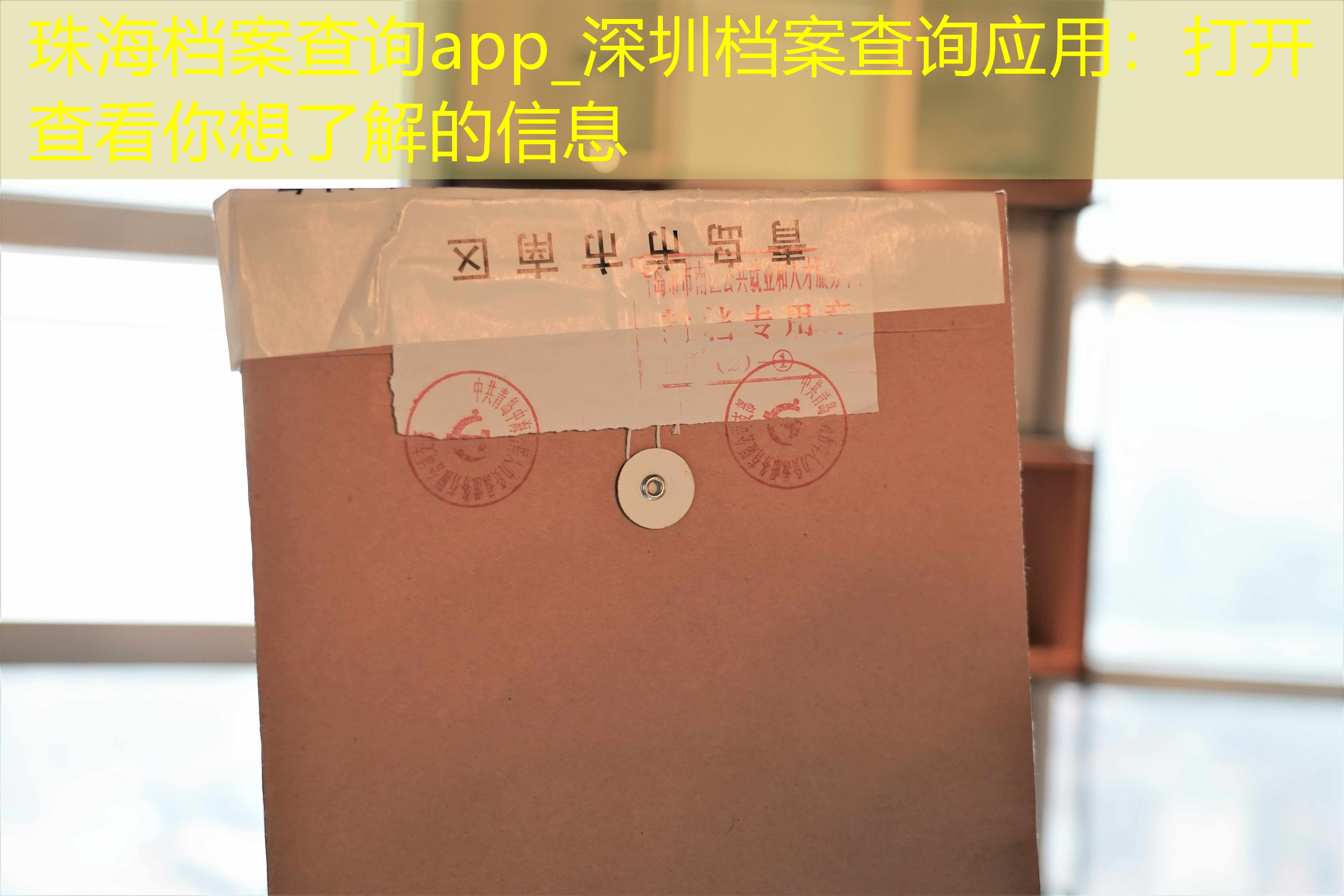 档案查询