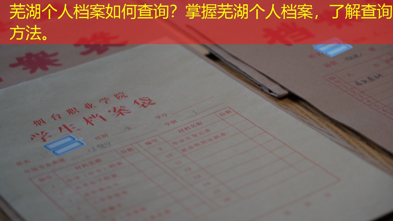 档案查询
