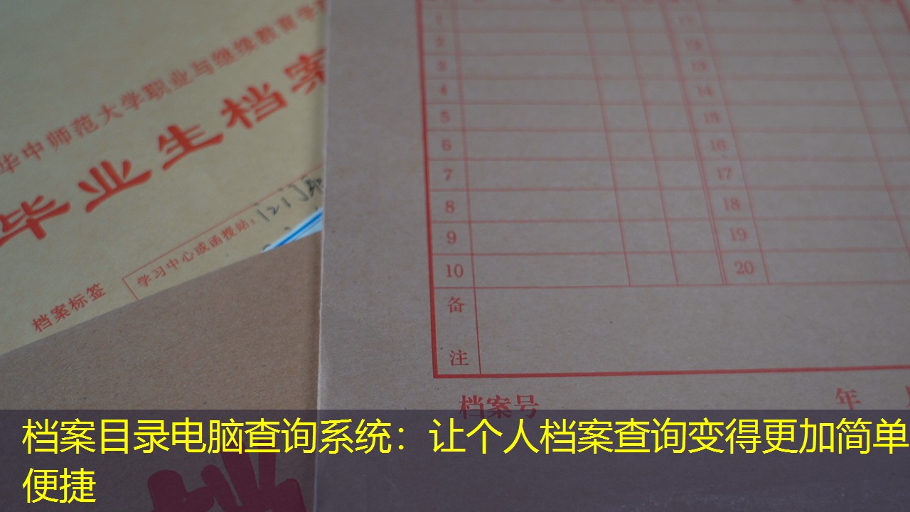 档案查询
