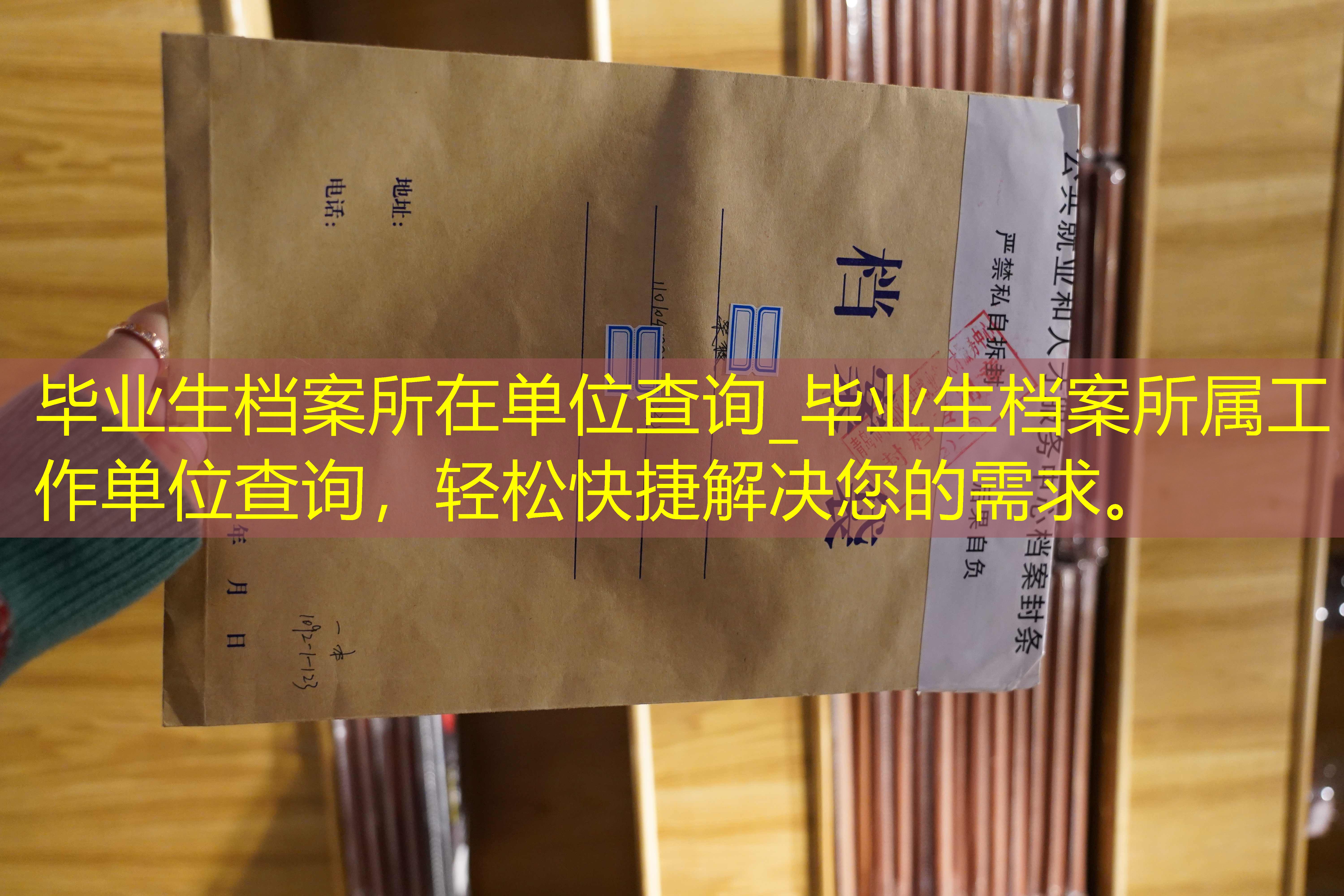档案查询