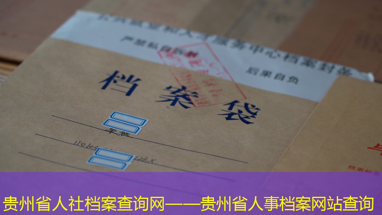 档案查询