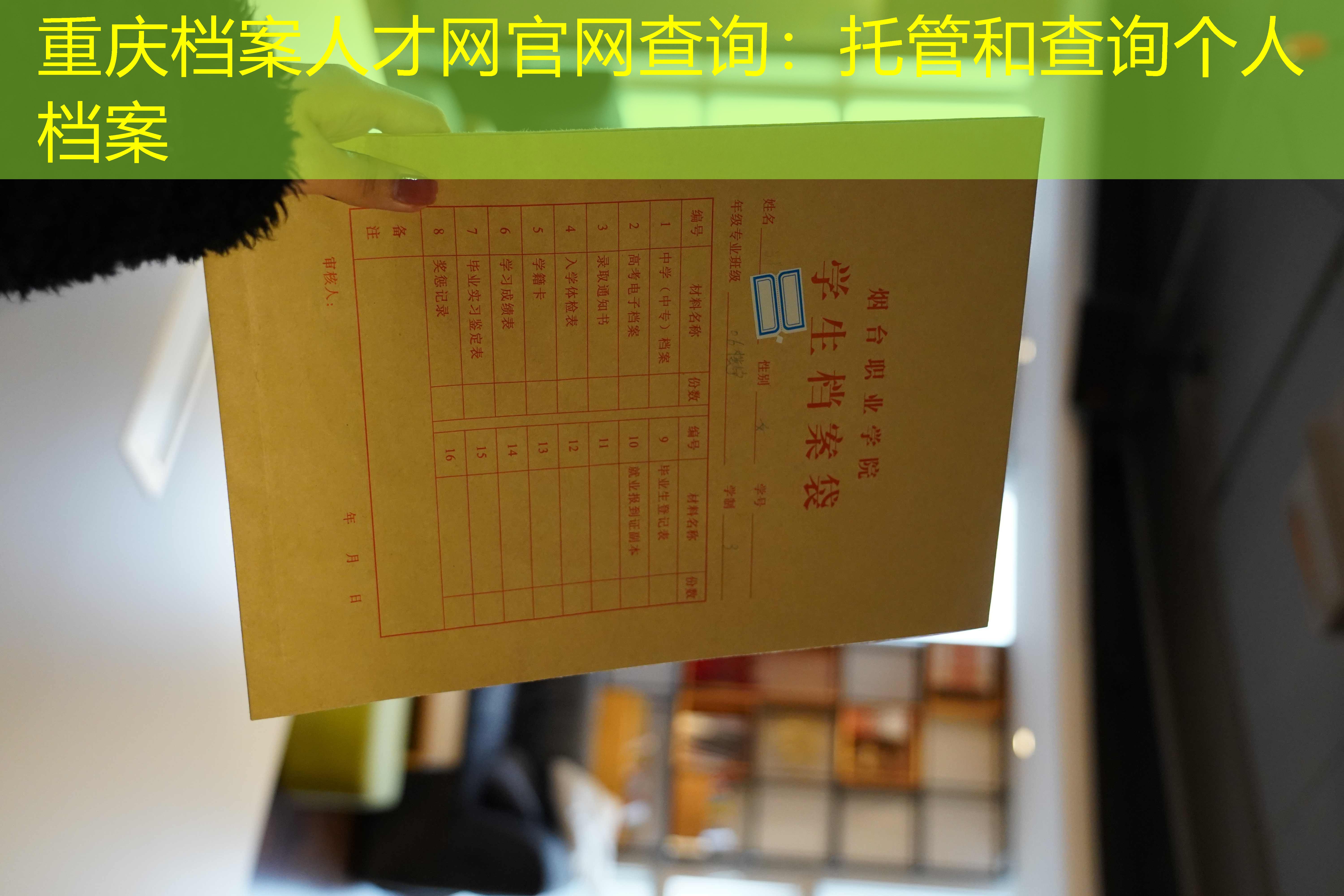 档案查询