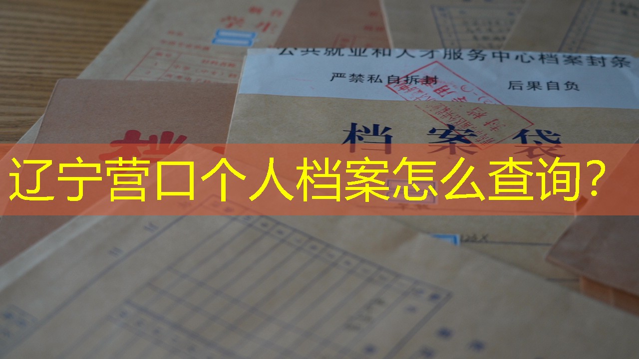 档案查询
