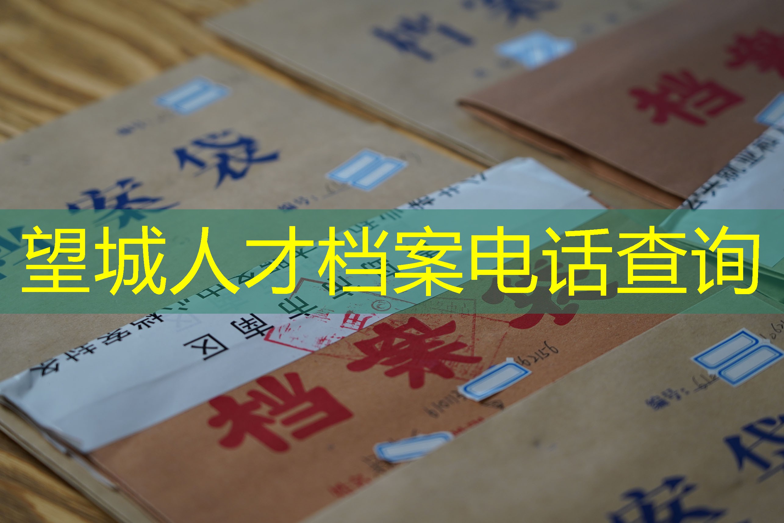 档案查询
