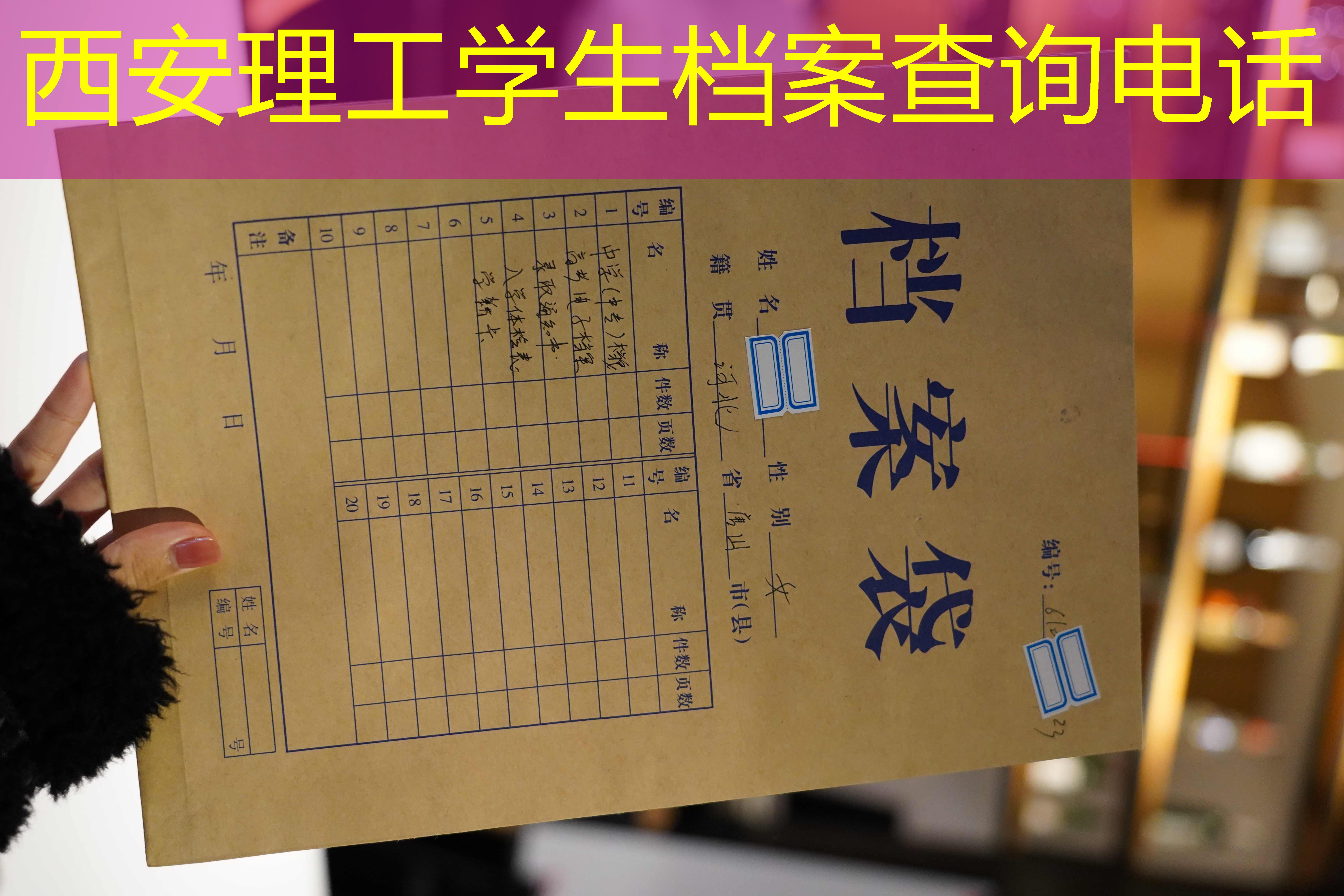 档案查询