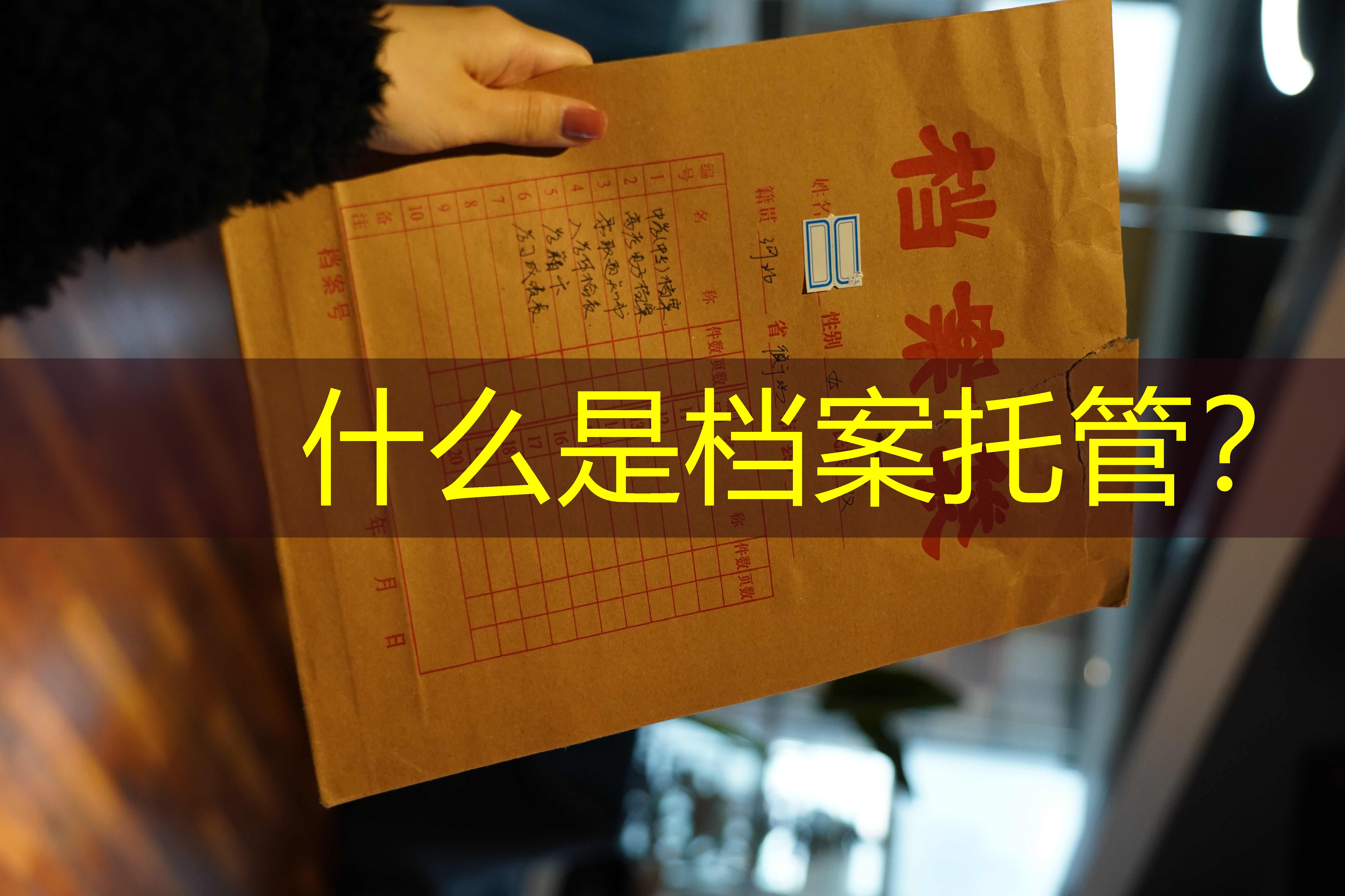 档案查询