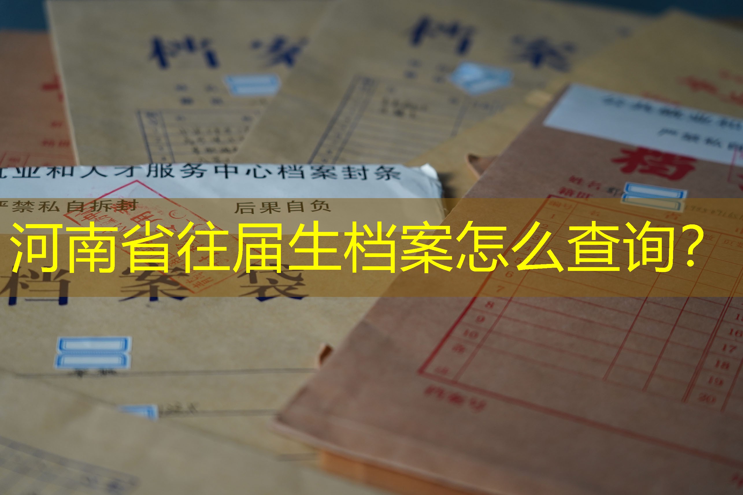 档案查询
