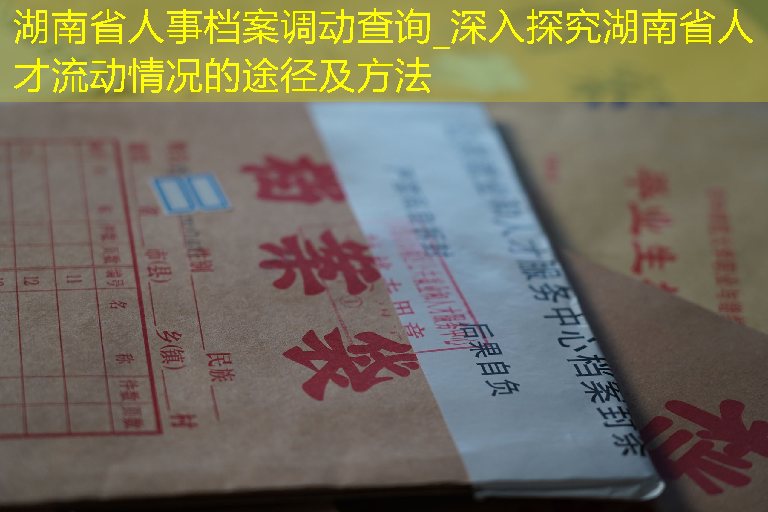 档案查询