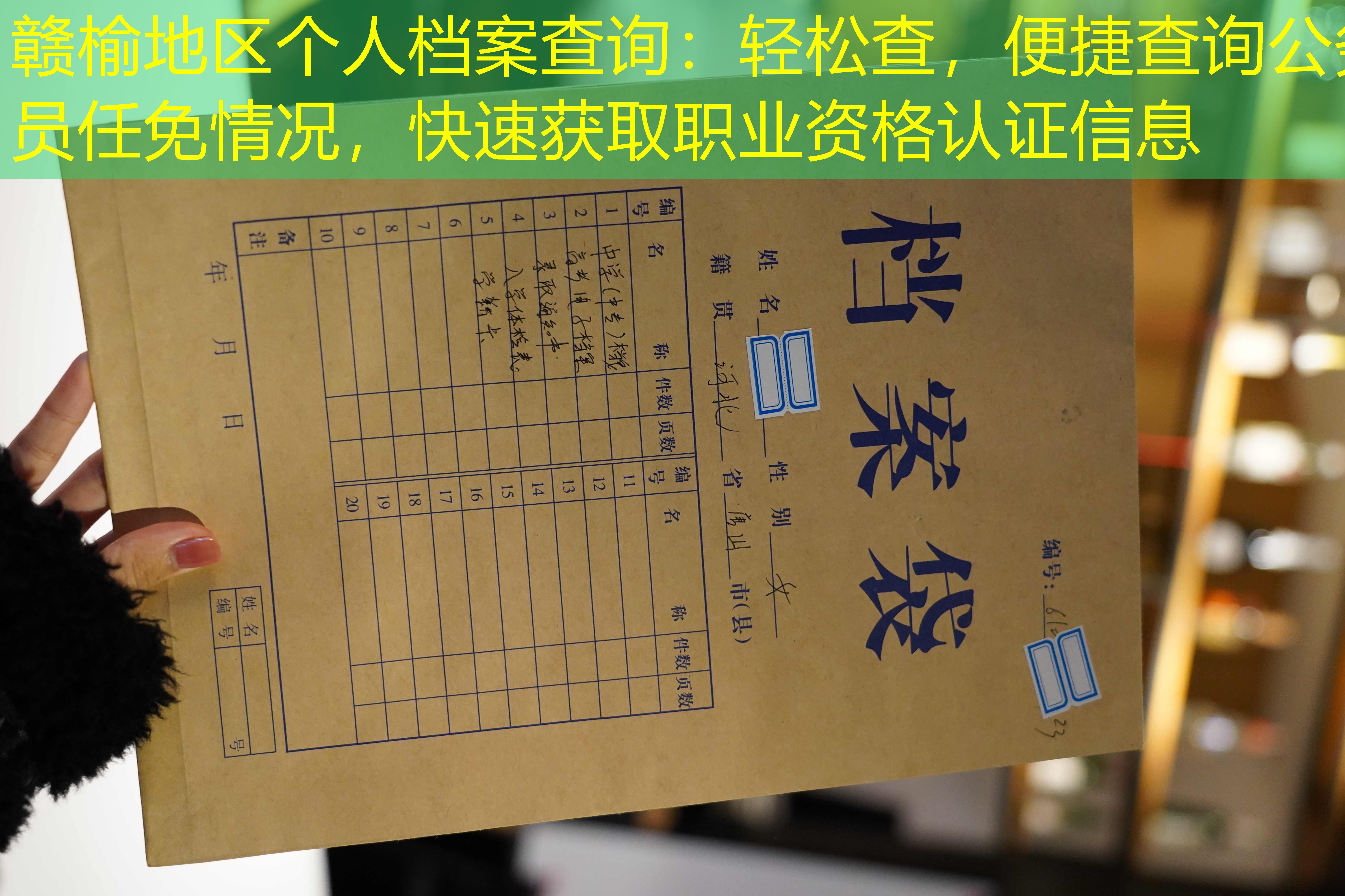 档案查询