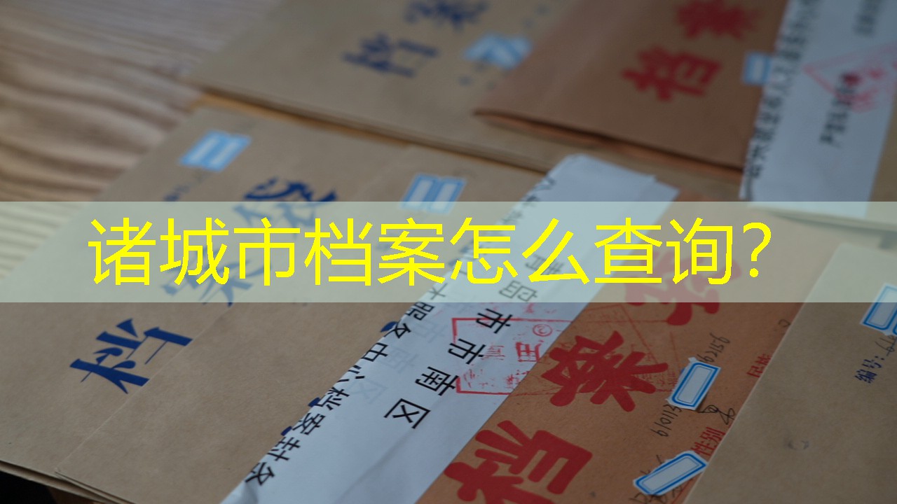 档案查询