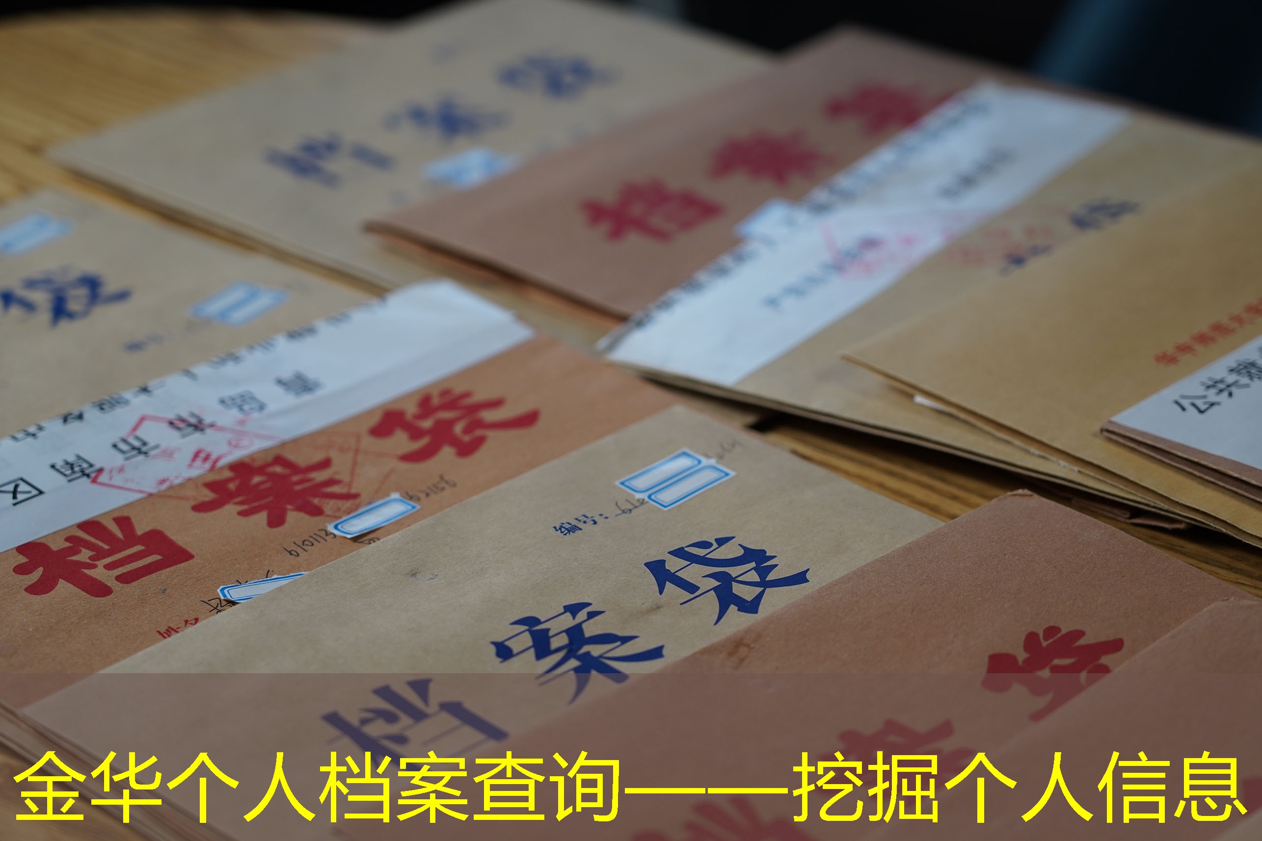 档案查询
