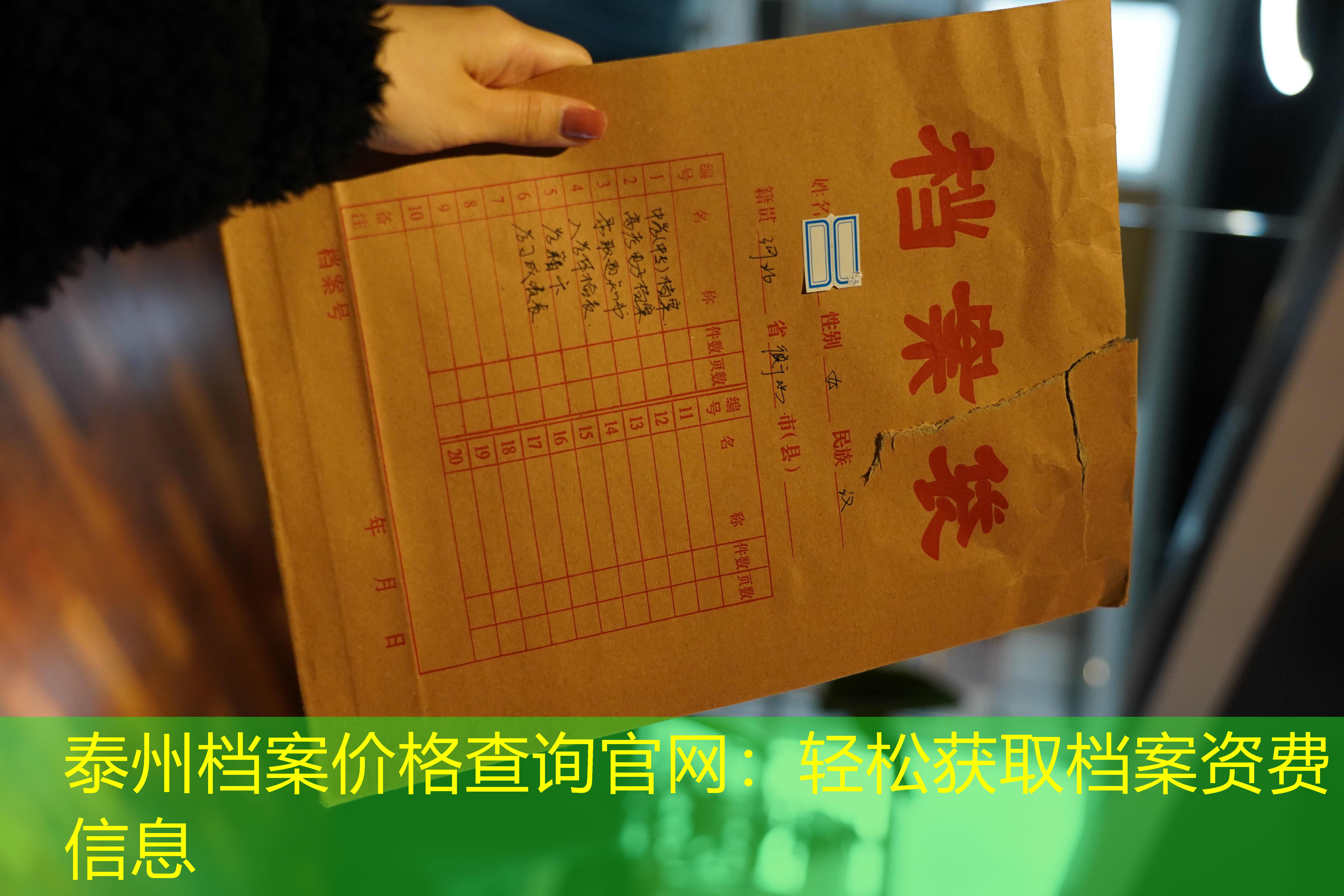 档案查询