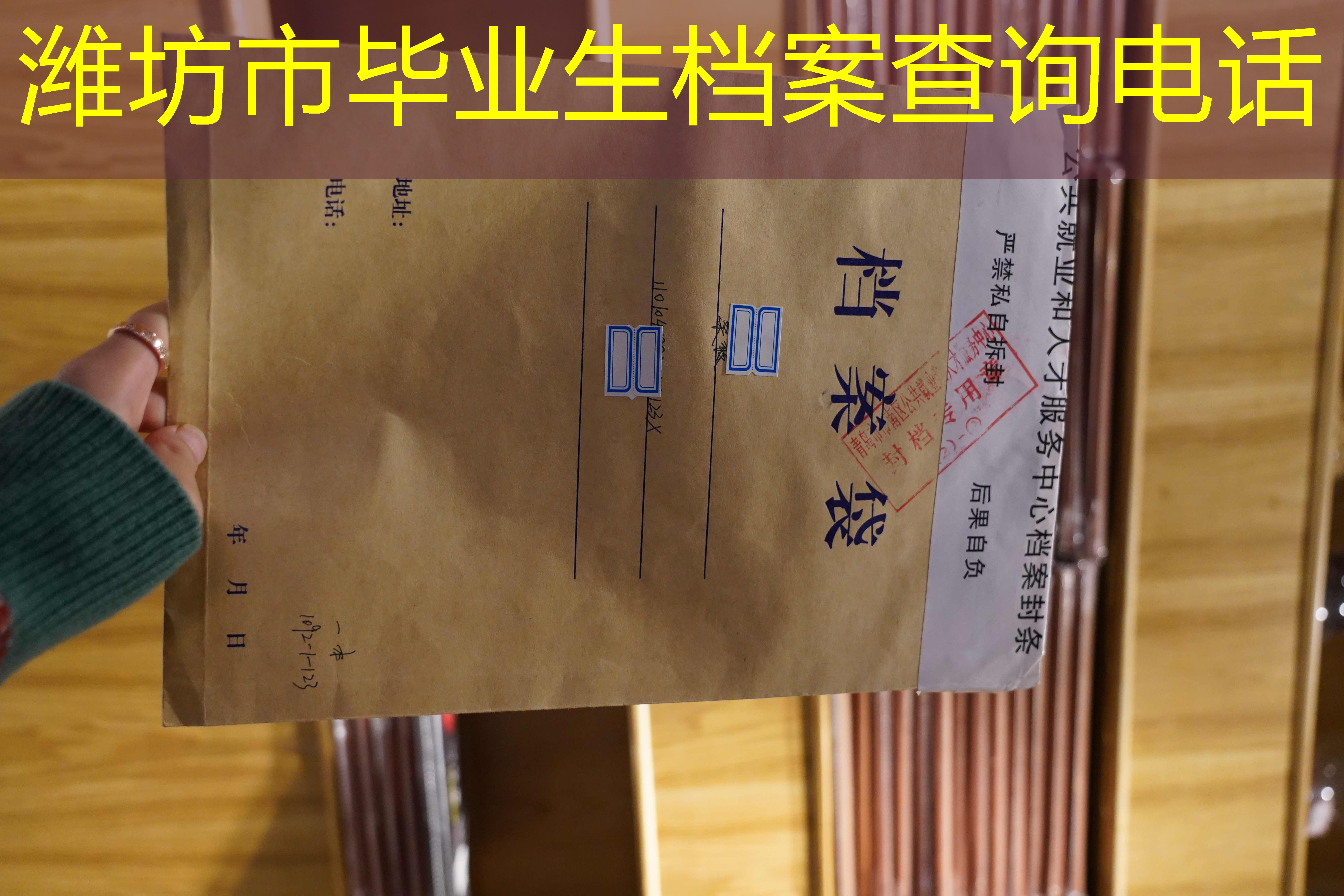 档案查询