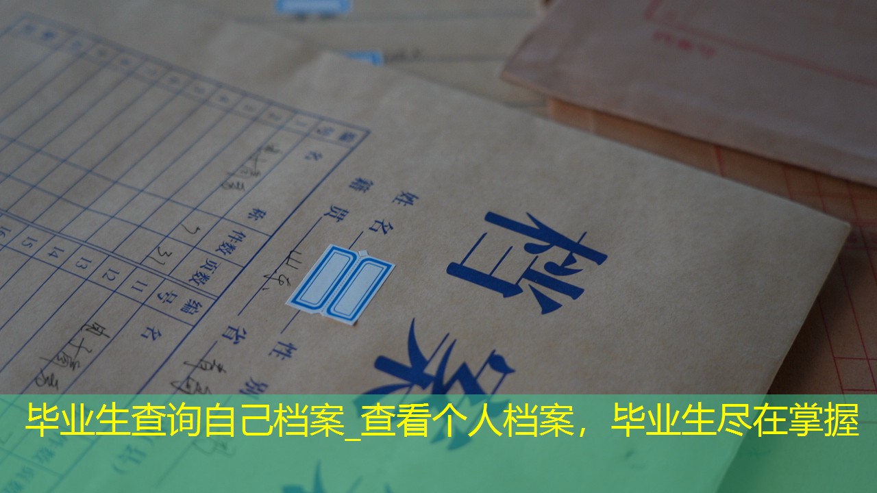 档案查询