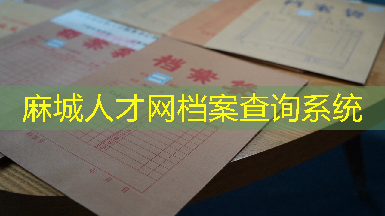 档案查询